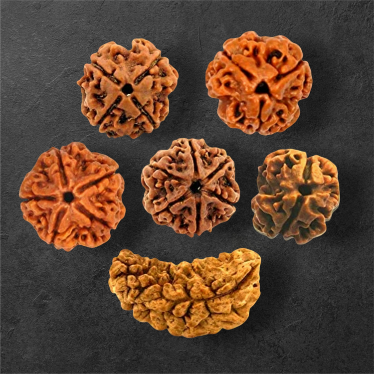RUDRAKSH COLLECTION