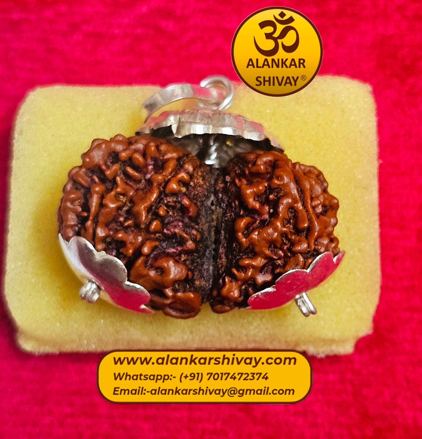 GAURI SHANKAR RUDRAKSH (NEPAL ORIGIN) WITHGOV AUTHORISED X-RAY LAB CERTIFICATION