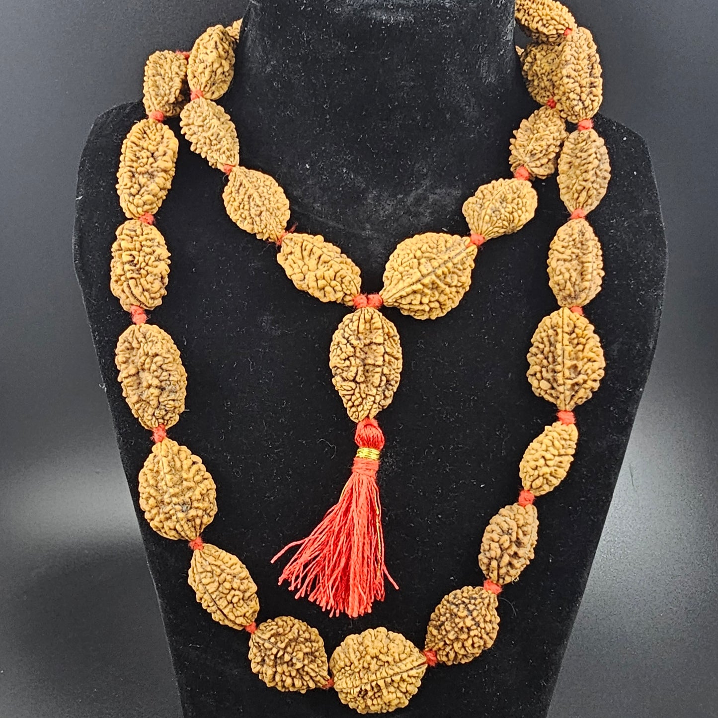 2 MUKHI NEPALI RUDRAKSHA (54+1 BEADS)