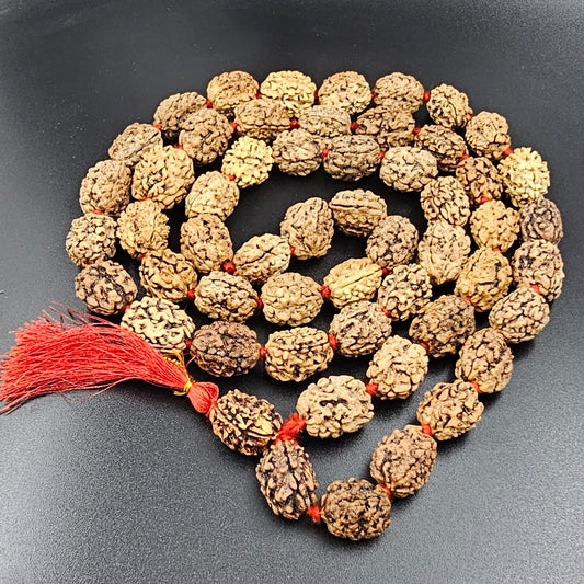3 MUKHI HIMALAYAN RUDRAKSHA MALA(54+1 BEADS)