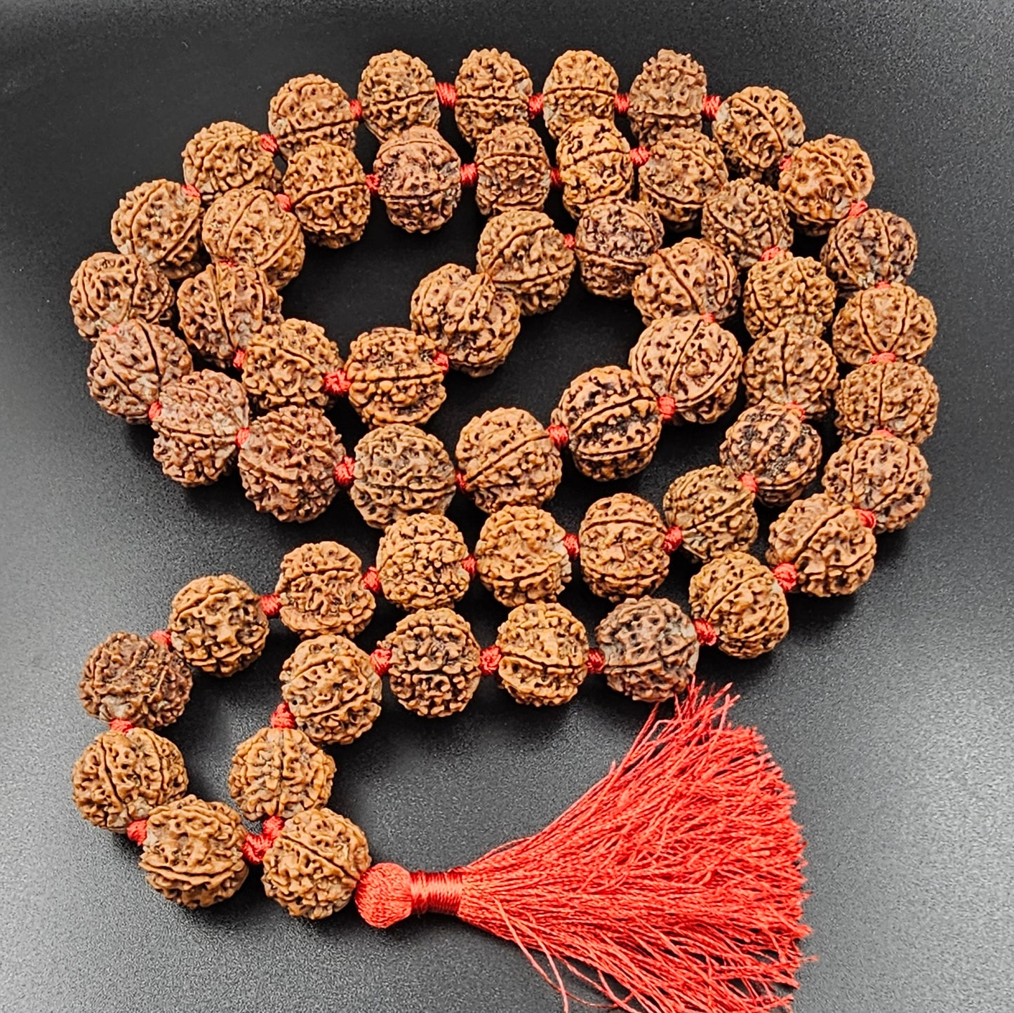 6 MUKHI RUDRAKSH MALA NEPAL (54+1 BIG BEADS)