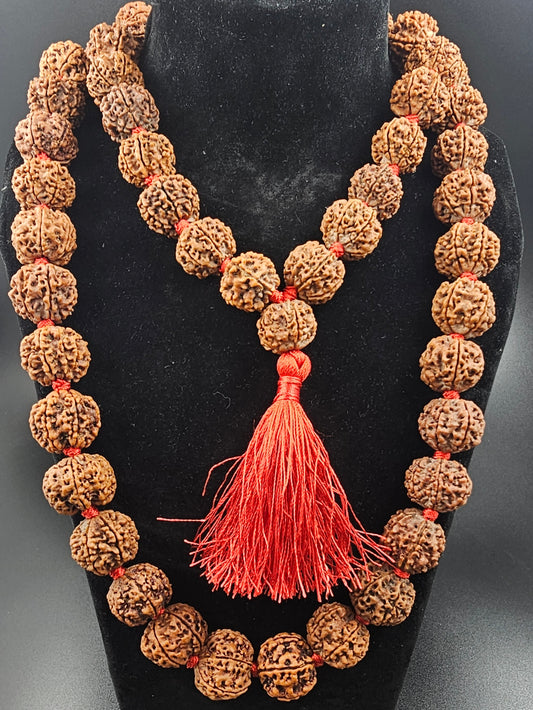 6 MUKHI RUDRAKSH MALA NEPAL (54+1 BIG BEADS)