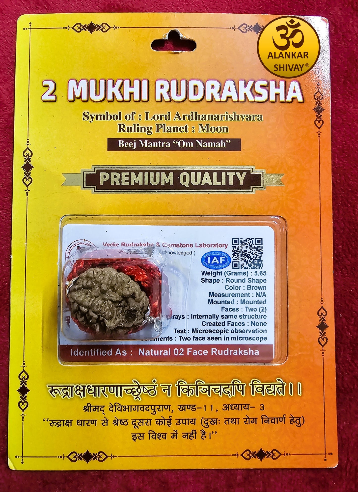 2 MUKHI RUDRAKSH WITH LAB CERTIFICATION