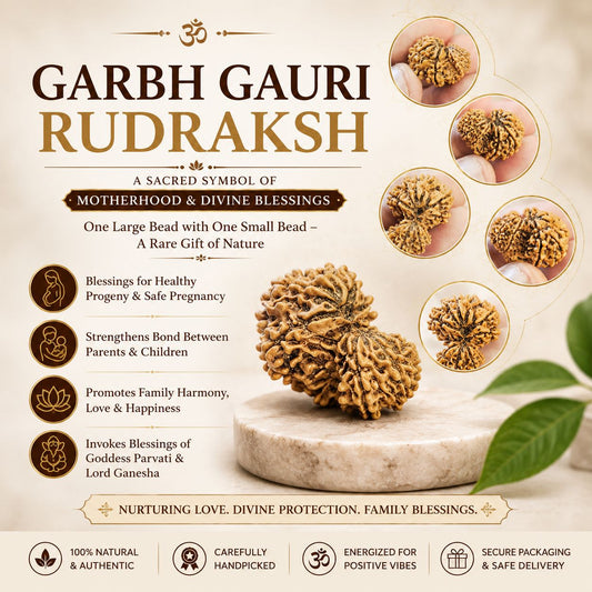 GARBH GAURI RUDRAKSH (NEPAL ORIGIN) WITH LAB CERTIFICATION