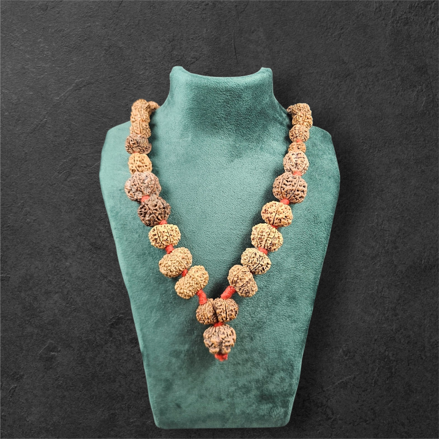 1 - 14 MUKHI RUDRAKSHA NEPAL SIDDH MALA WITH GOVERNMENT CERTIFIED DETAILED X-RAYS LAB REPORT