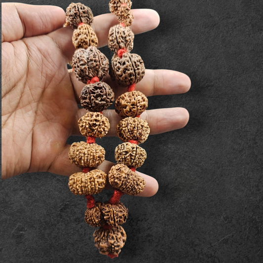 1 - 14 MUKHI RUDRAKSHA NEPAL SIDDH MALA WITH GOVERNMENT CERTIFIED DETAILED X-RAYS LAB REPORT