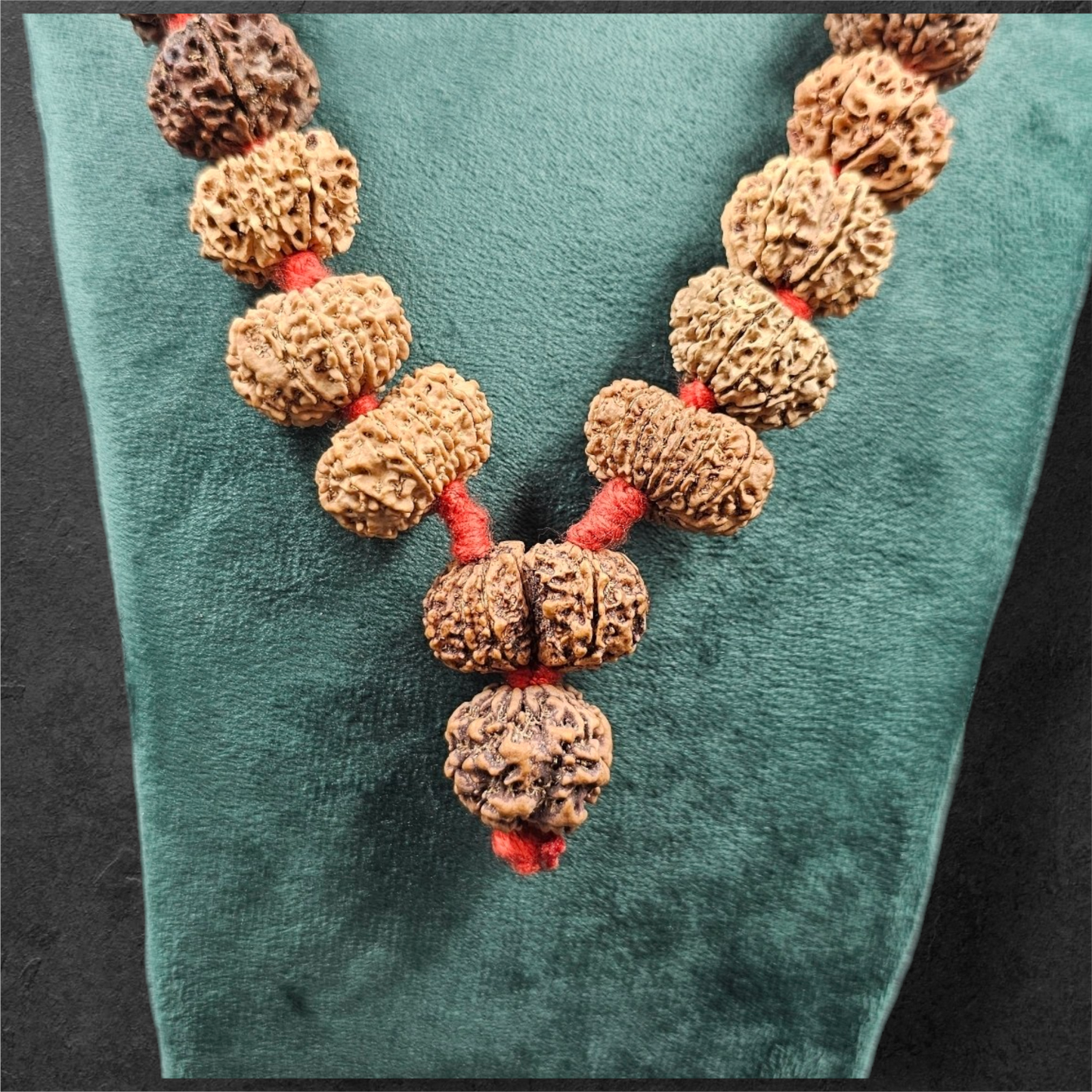 1 - 14 MUKHI RUDRAKSHA NEPAL SIDDH MALA WITH GOVERNMENT CERTIFIED DETAILED X-RAYS LAB REPORT