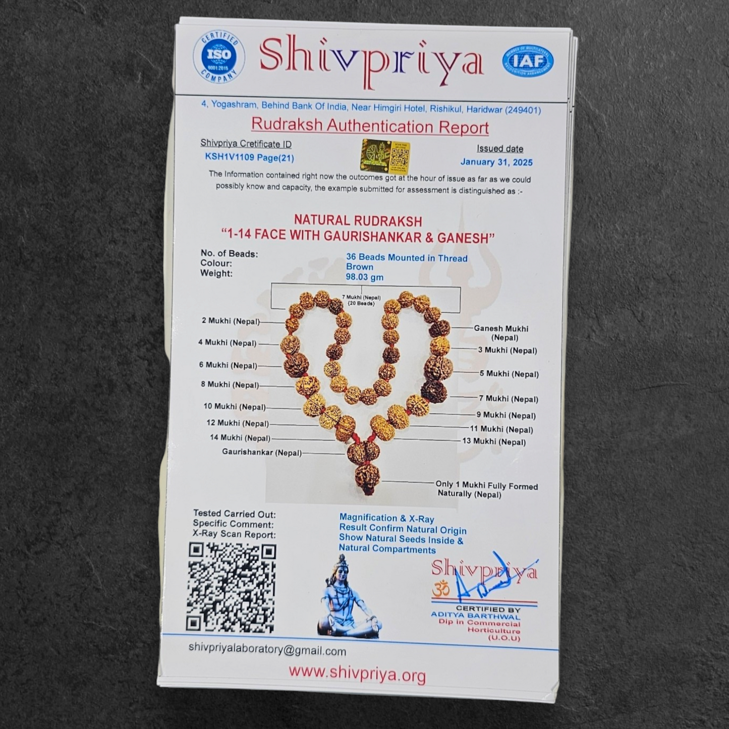 1 - 14 MUKHI RUDRAKSHA NEPAL SIDDH MALA WITH GOVERNMENT CERTIFIED DETAILED X-RAYS LAB REPORT