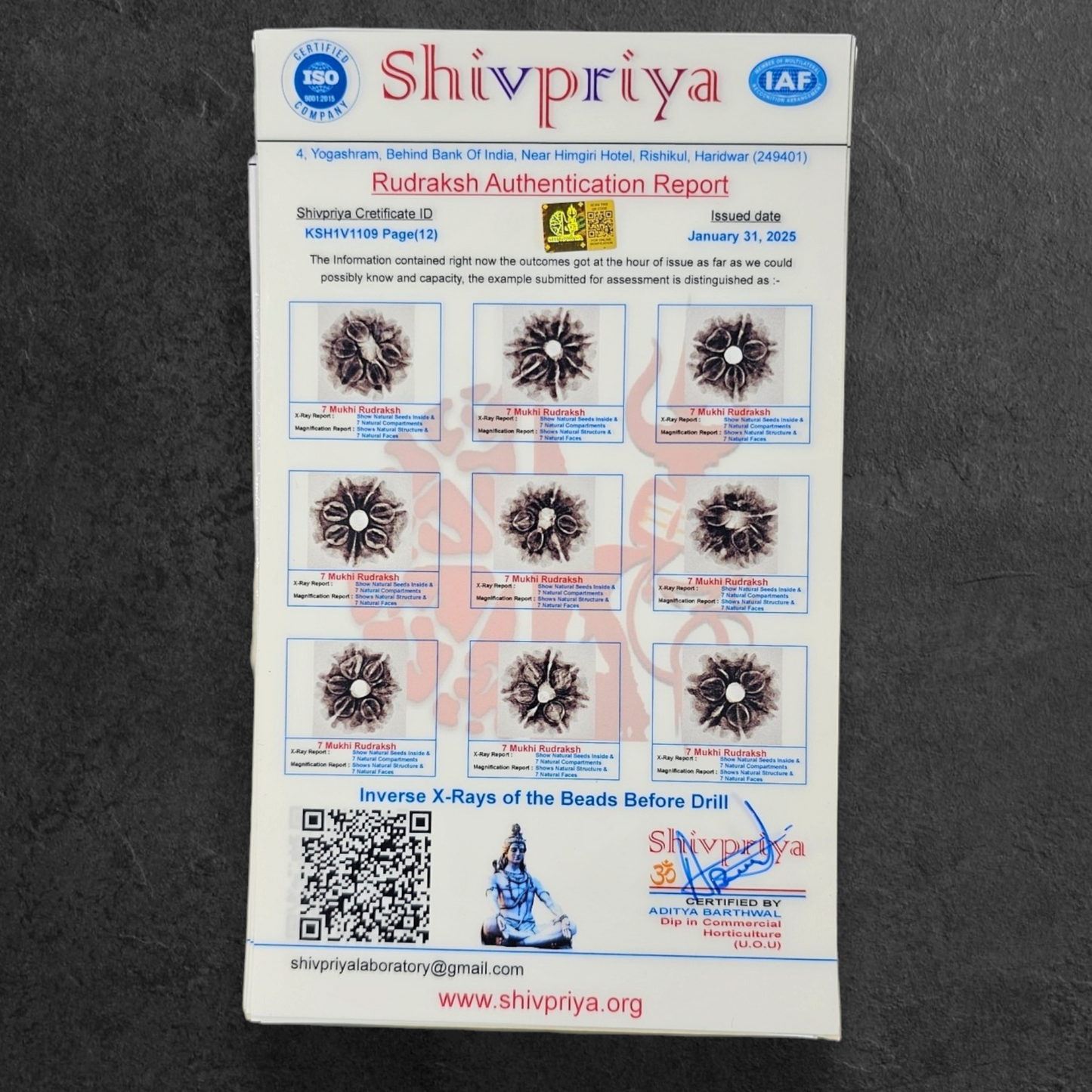 1 - 14 MUKHI RUDRAKSHA NEPAL SIDDH MALA WITH GOVERNMENT CERTIFIED DETAILED X-RAYS LAB REPORT