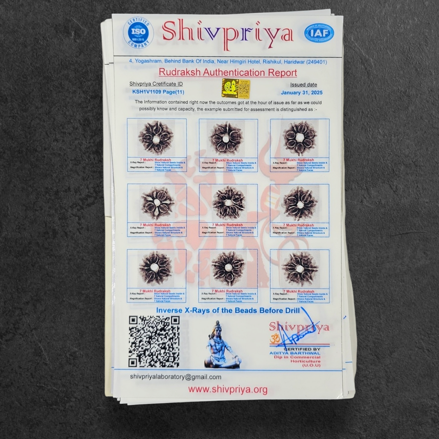 1 - 14 MUKHI RUDRAKSHA NEPAL SIDDH MALA WITH GOVERNMENT CERTIFIED DETAILED X-RAYS LAB REPORT