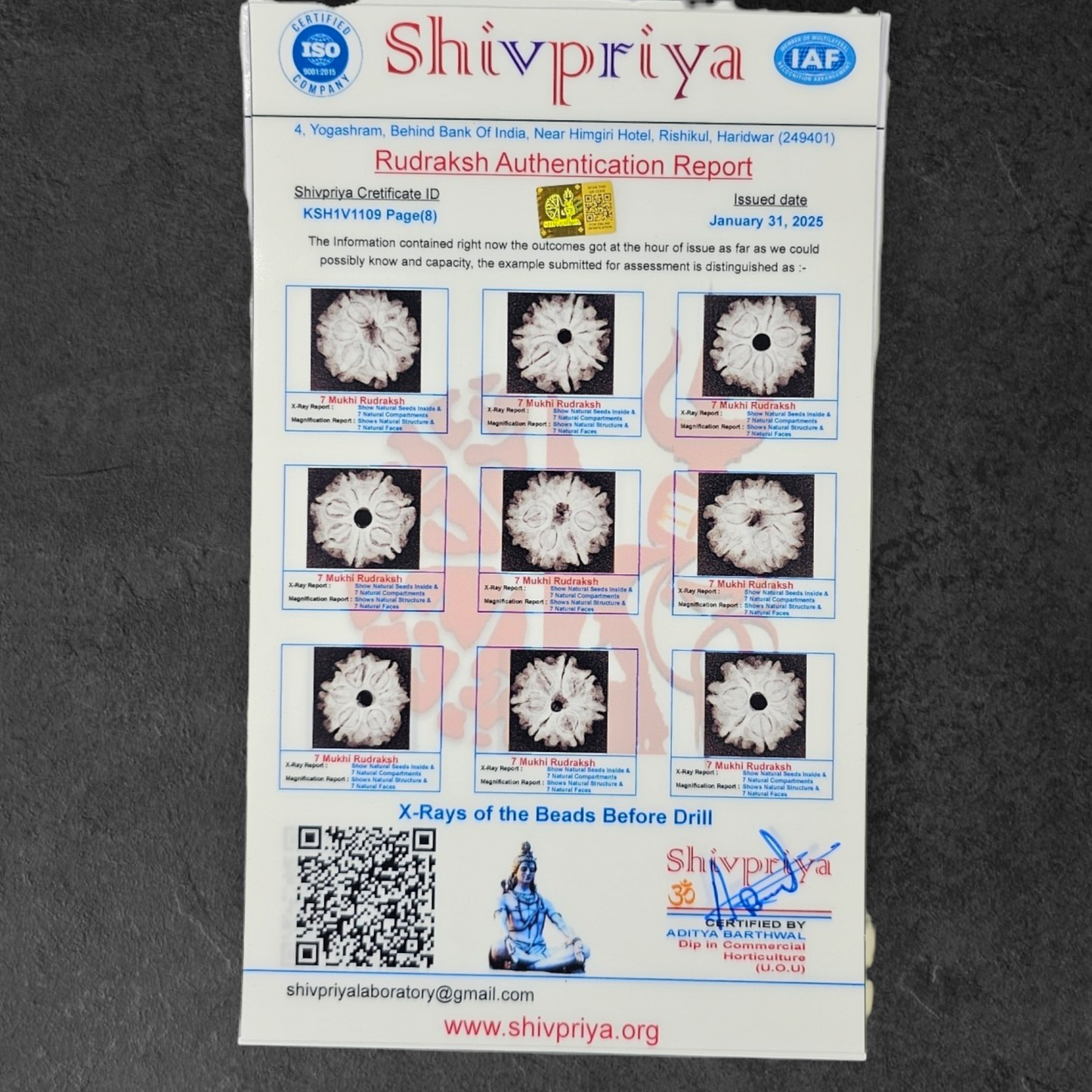 1 - 14 MUKHI RUDRAKSHA NEPAL SIDDH MALA WITH GOVERNMENT CERTIFIED DETAILED X-RAYS LAB REPORT