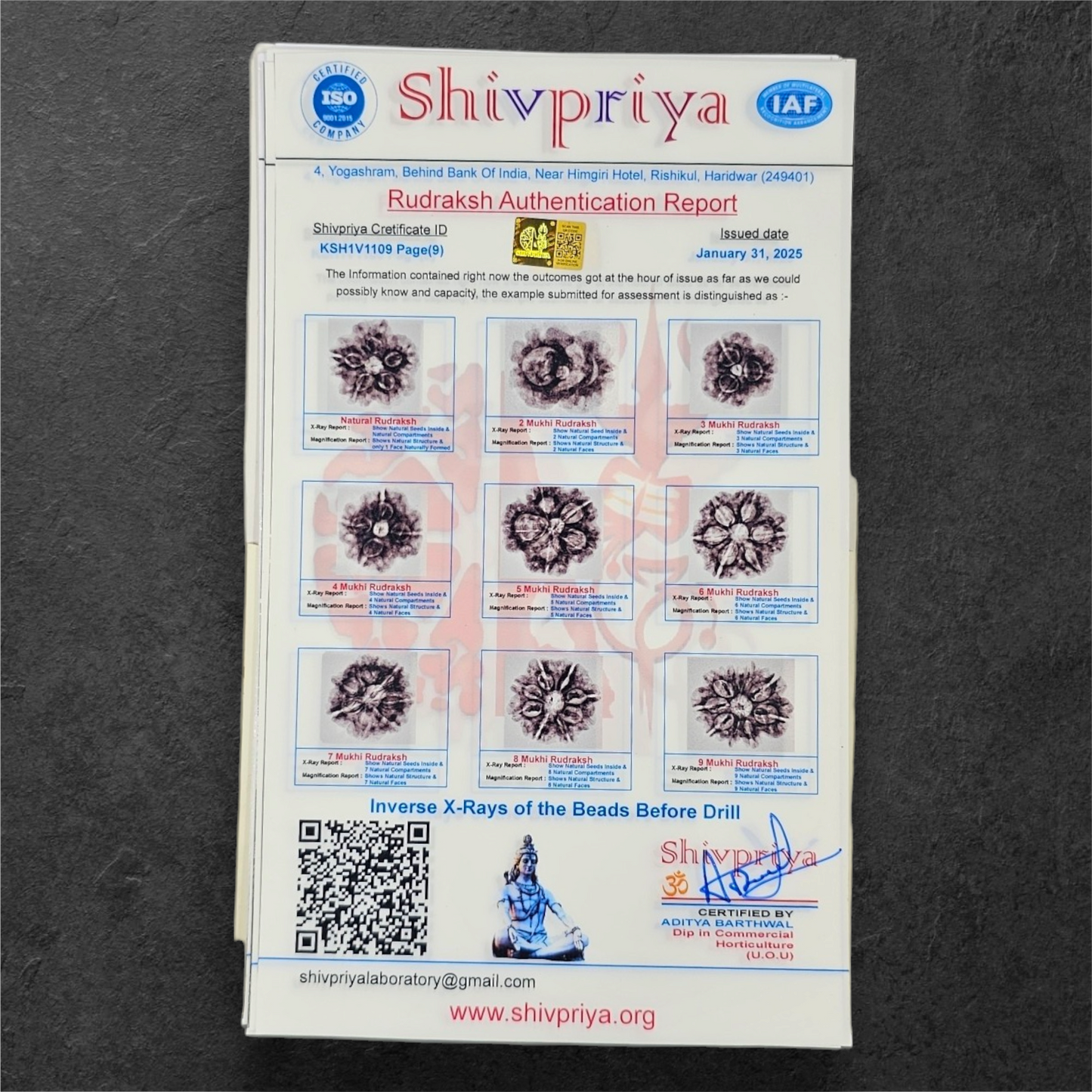 1 - 14 MUKHI RUDRAKSHA NEPAL SIDDH MALA WITH GOVERNMENT CERTIFIED DETAILED X-RAYS LAB REPORT