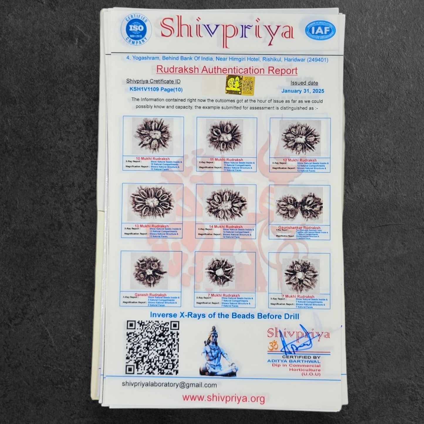 1 - 14 MUKHI RUDRAKSHA NEPAL SIDDH MALA WITH GOVERNMENT CERTIFIED DETAILED X-RAYS LAB REPORT