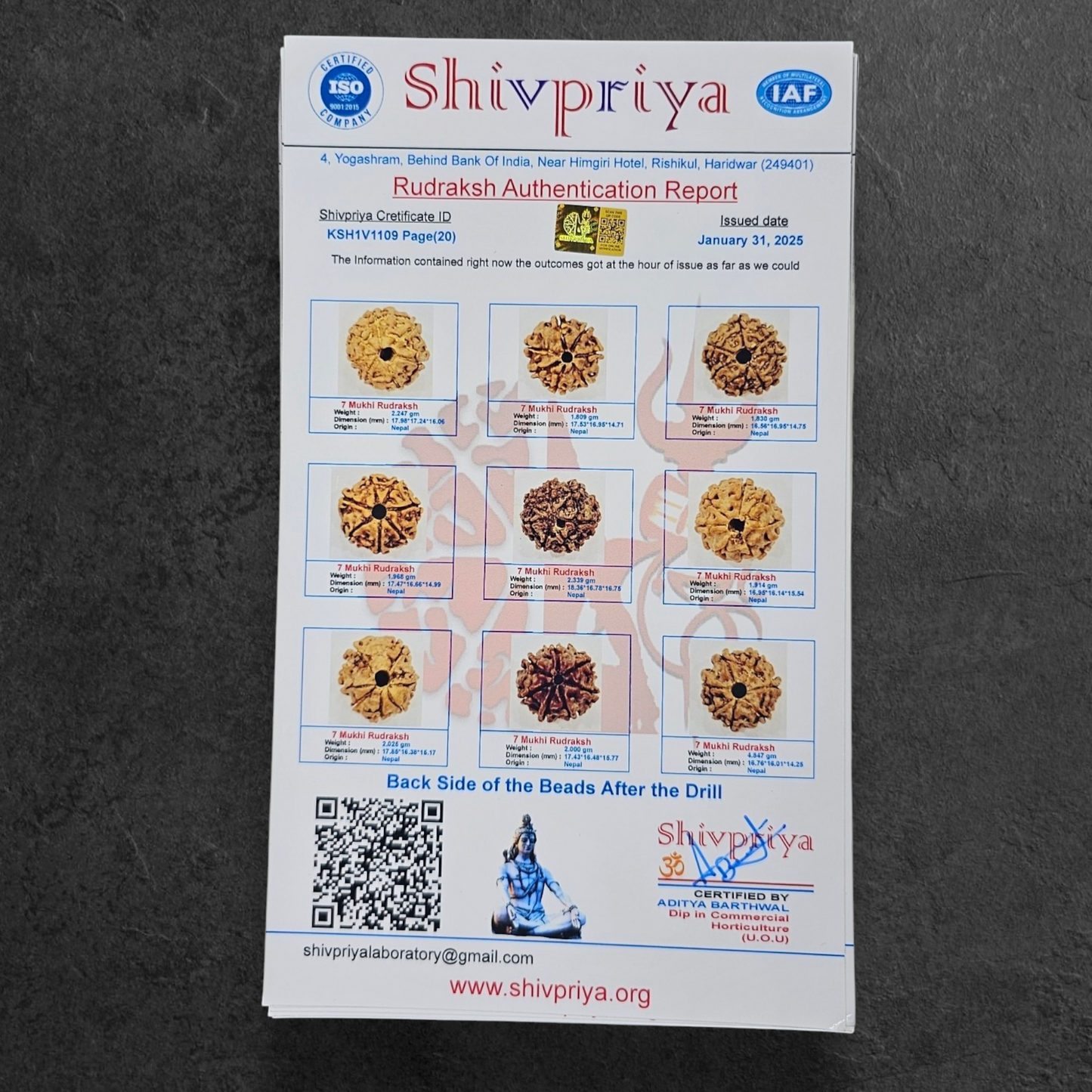 1 - 14 MUKHI RUDRAKSHA NEPAL SIDDH MALA WITH GOVERNMENT CERTIFIED DETAILED X-RAYS LAB REPORT