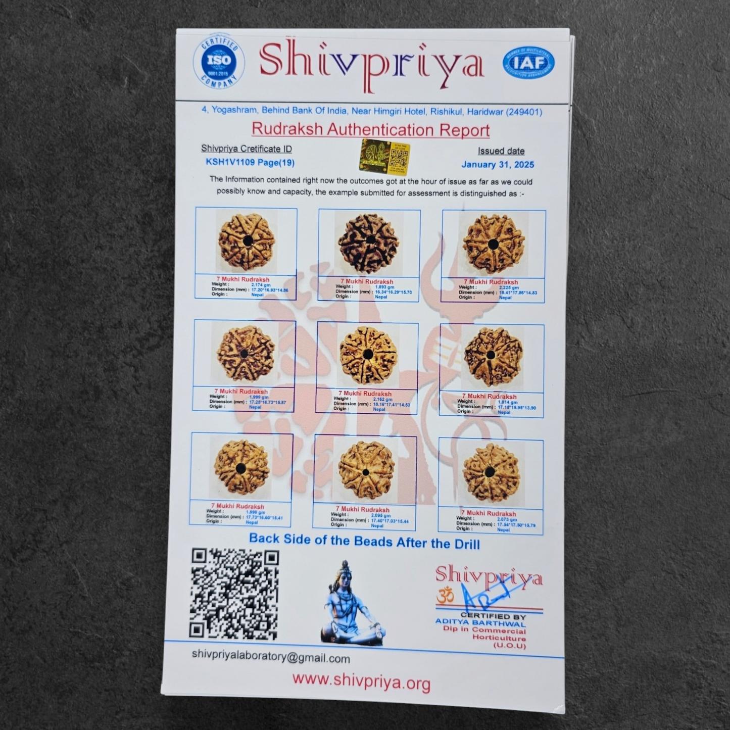 1 - 14 MUKHI RUDRAKSHA NEPAL SIDDH MALA WITH GOVERNMENT CERTIFIED DETAILED X-RAYS LAB REPORT