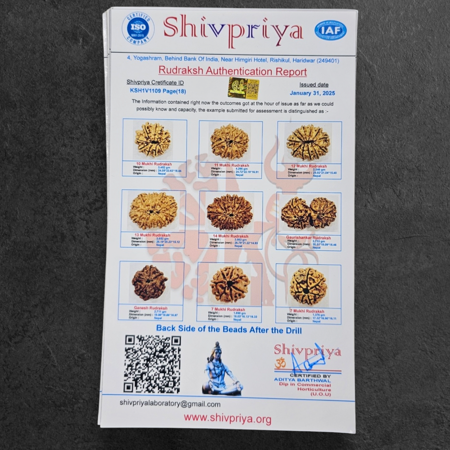 1 - 14 MUKHI RUDRAKSHA NEPAL SIDDH MALA WITH GOVERNMENT CERTIFIED DETAILED X-RAYS LAB REPORT