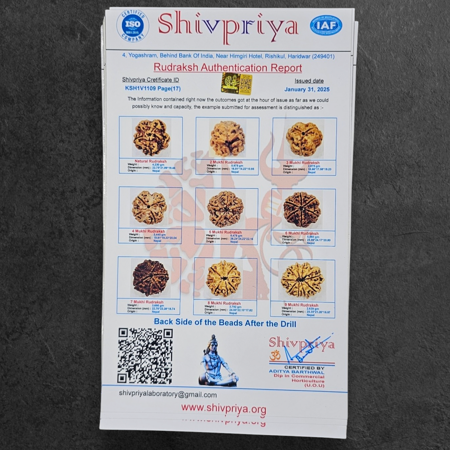 1 - 14 MUKHI RUDRAKSHA NEPAL SIDDH MALA WITH GOVERNMENT CERTIFIED DETAILED X-RAYS LAB REPORT