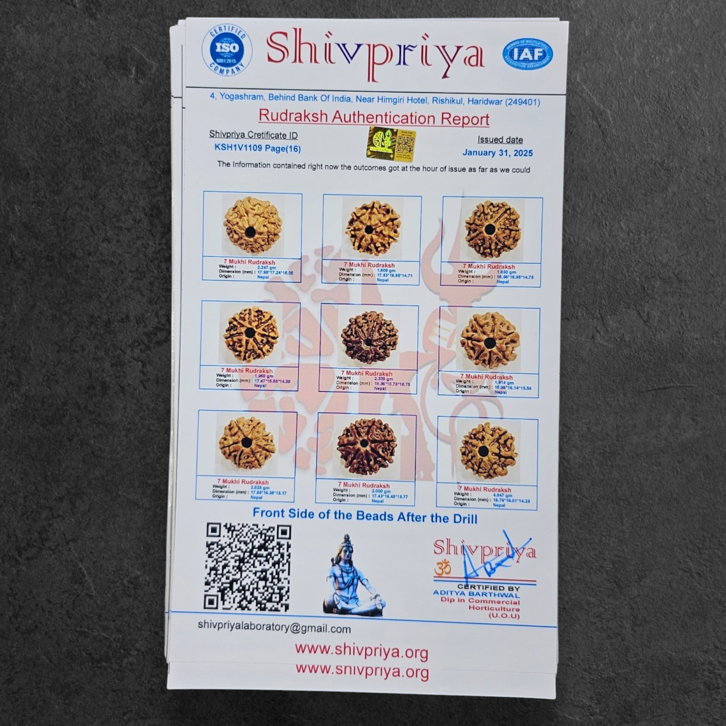 1 - 14 MUKHI RUDRAKSHA NEPAL SIDDH MALA WITH GOVERNMENT CERTIFIED DETAILED X-RAYS LAB REPORT