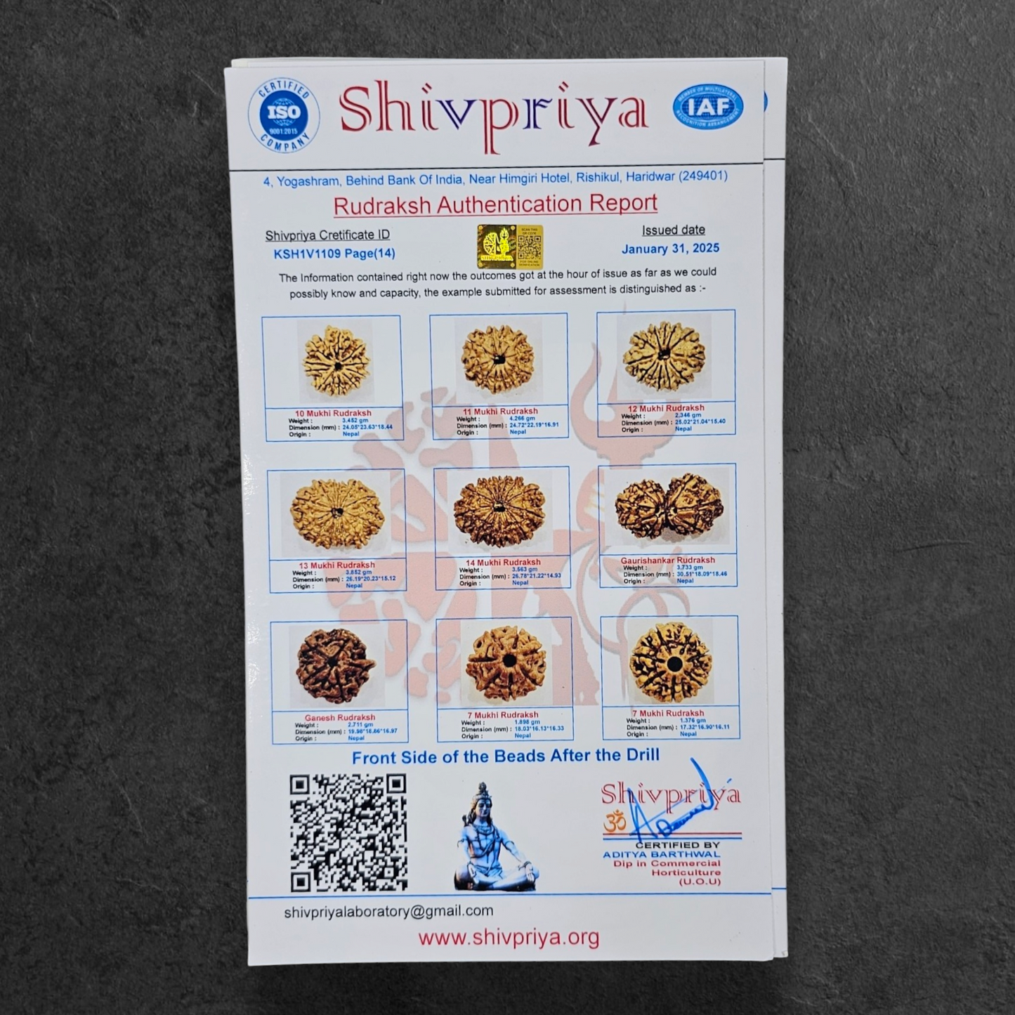 1 - 14 MUKHI RUDRAKSHA NEPAL SIDDH MALA WITH GOVERNMENT CERTIFIED DETAILED X-RAYS LAB REPORT