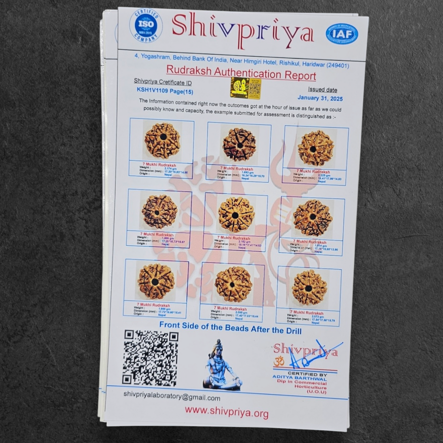 1 - 14 MUKHI RUDRAKSHA NEPAL SIDDH MALA WITH GOVERNMENT CERTIFIED DETAILED X-RAYS LAB REPORT