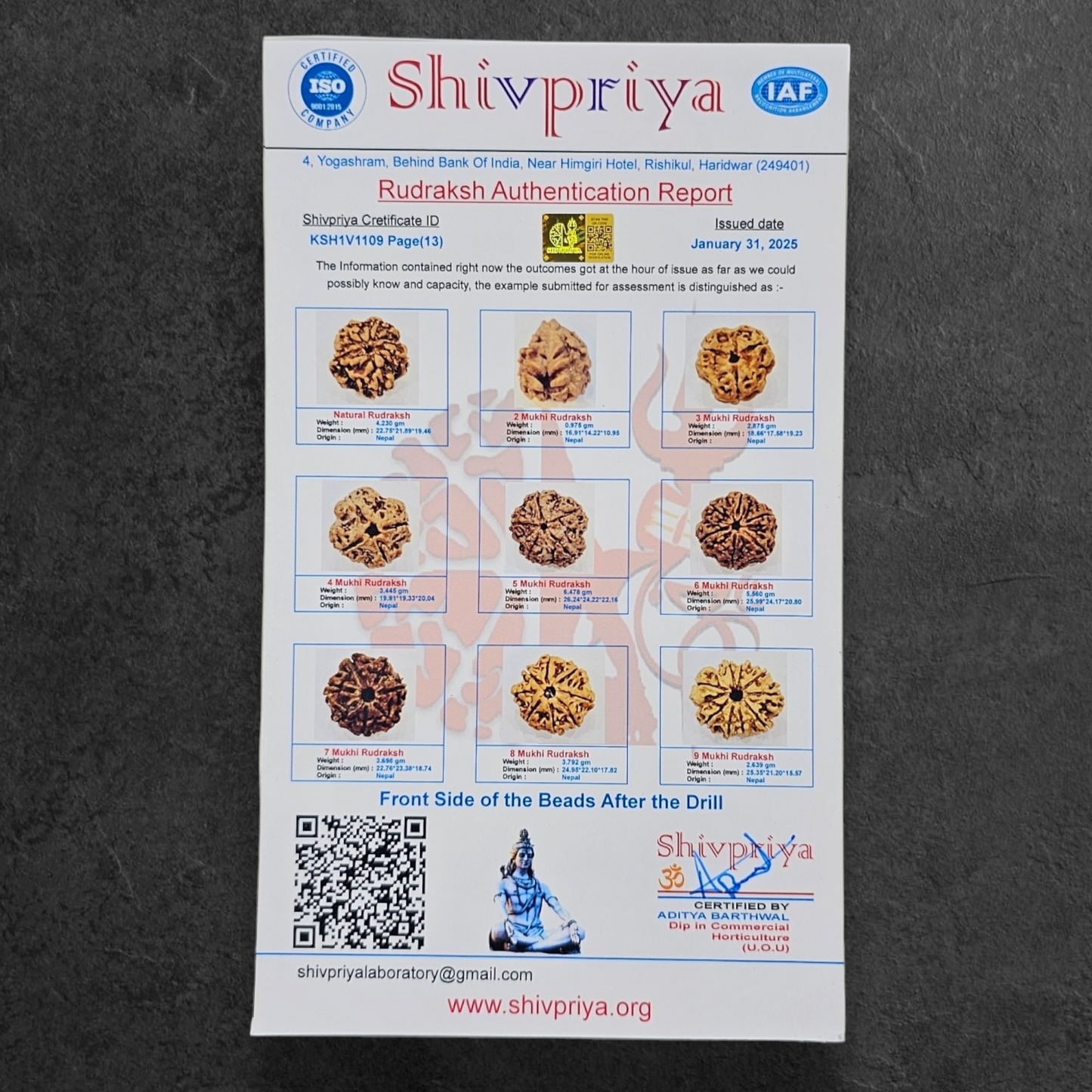 1 - 14 MUKHI RUDRAKSHA NEPAL SIDDH MALA WITH GOVERNMENT CERTIFIED DETAILED X-RAYS LAB REPORT