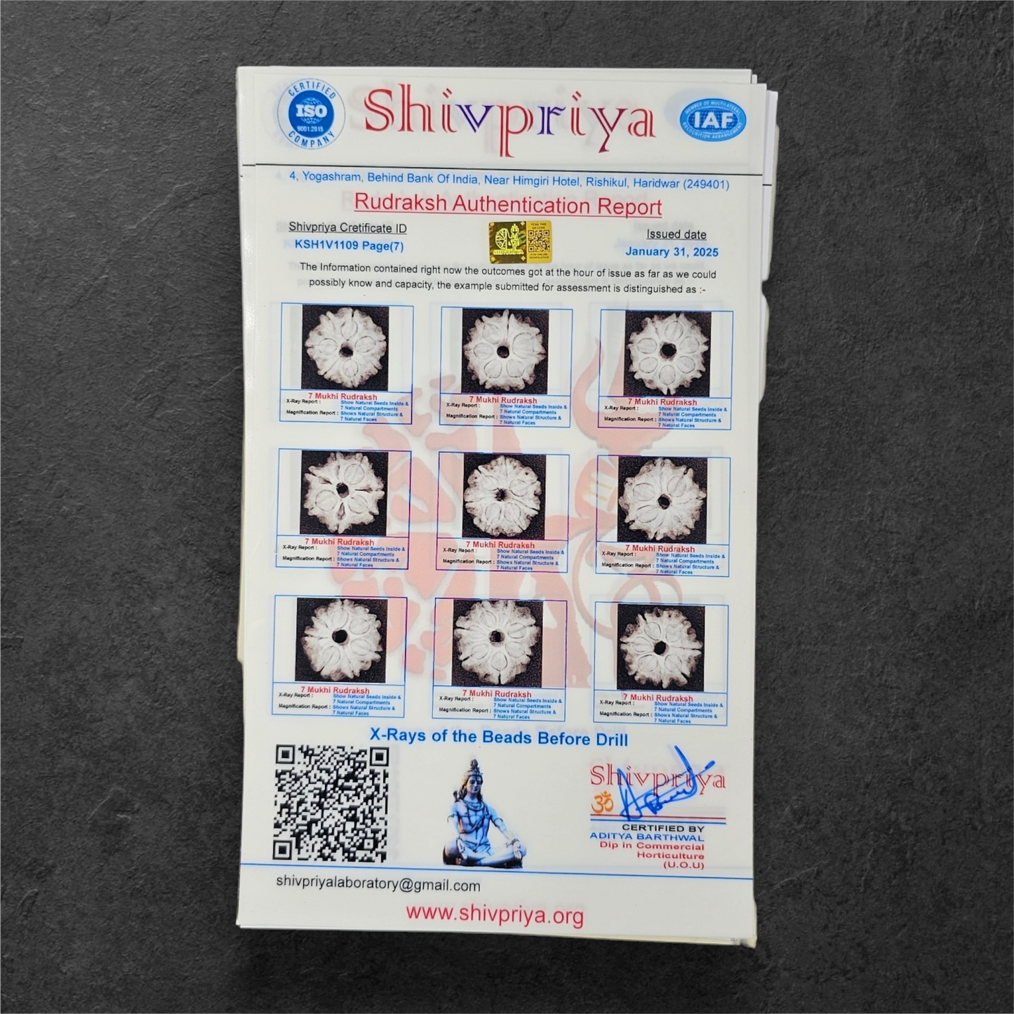 1 - 14 MUKHI RUDRAKSHA NEPAL SIDDH MALA WITH GOVERNMENT CERTIFIED DETAILED X-RAYS LAB REPORT