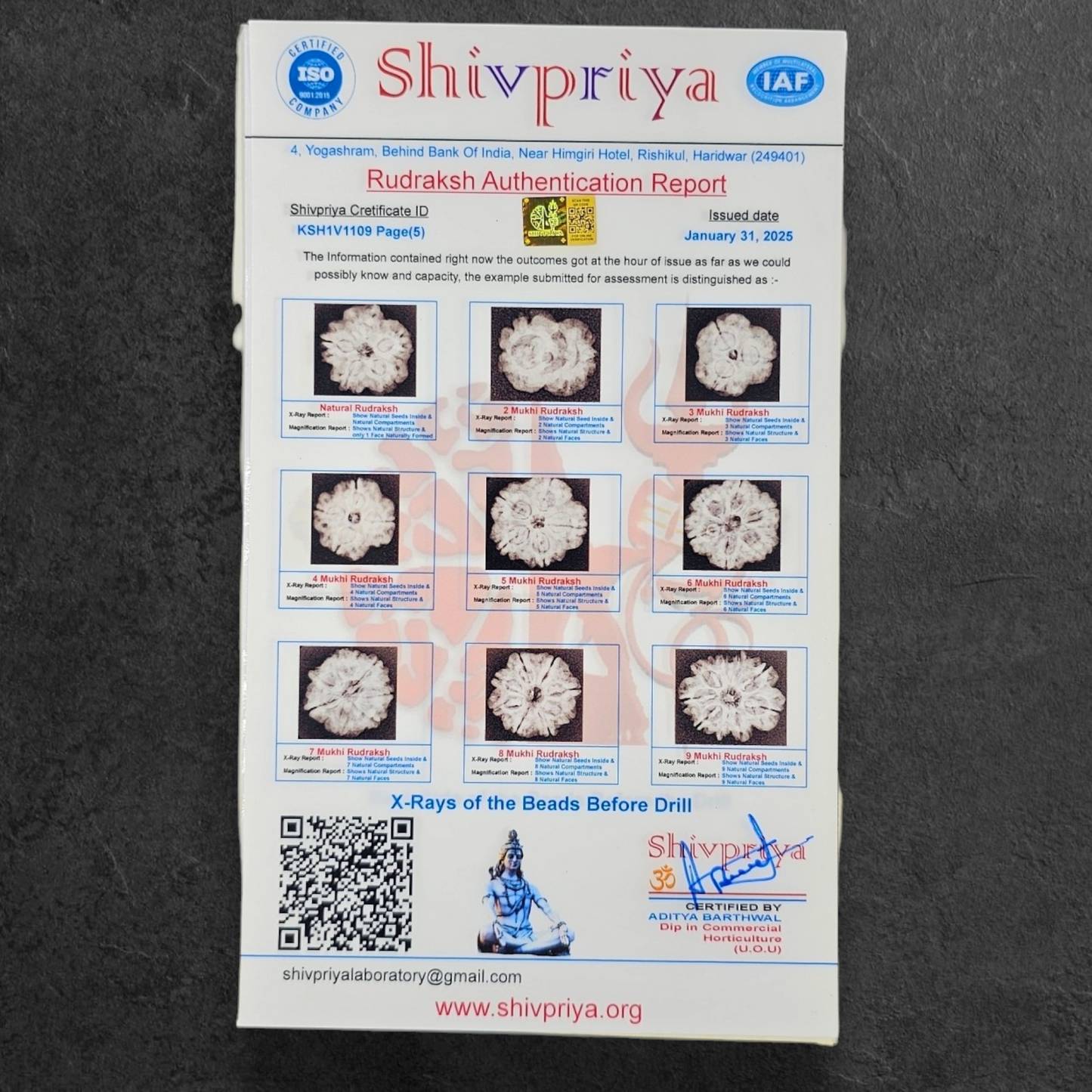 1 - 14 MUKHI RUDRAKSHA NEPAL SIDDH MALA WITH GOVERNMENT CERTIFIED DETAILED X-RAYS LAB REPORT