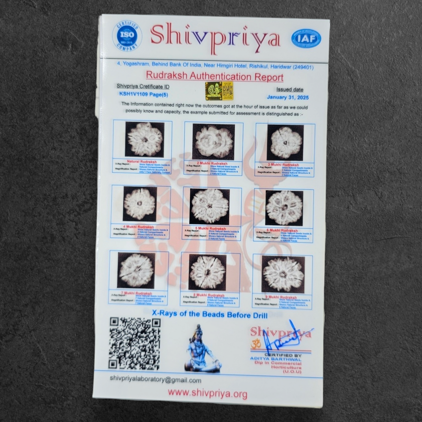 1 - 14 MUKHI RUDRAKSHA NEPAL SIDDH MALA WITH GOVERNMENT CERTIFIED DETAILED X-RAYS LAB REPORT