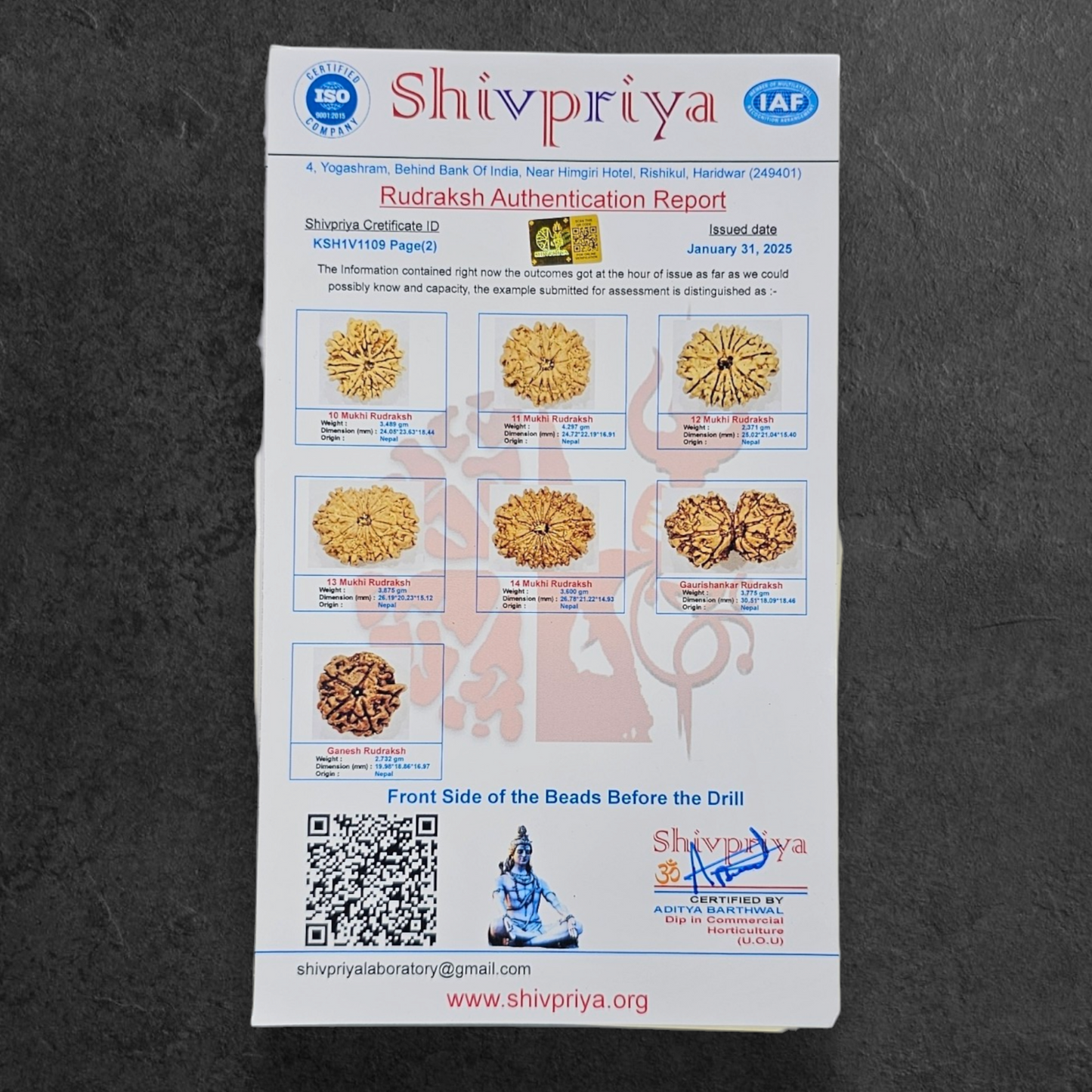 1 - 14 MUKHI RUDRAKSHA NEPAL SIDDH MALA WITH GOVERNMENT CERTIFIED DETAILED X-RAYS LAB REPORT