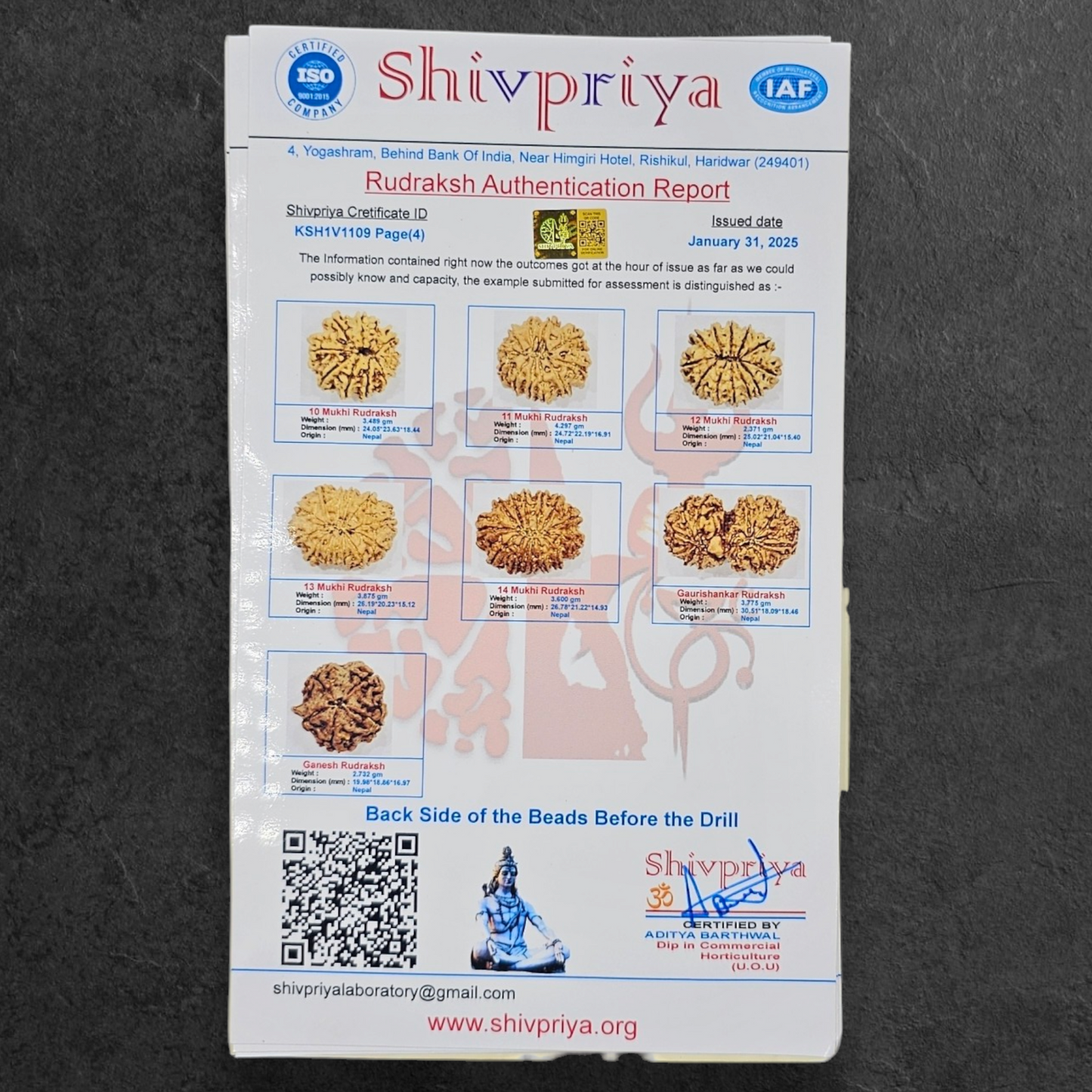 1 - 14 MUKHI RUDRAKSHA NEPAL SIDDH MALA WITH GOVERNMENT CERTIFIED DETAILED X-RAYS LAB REPORT
