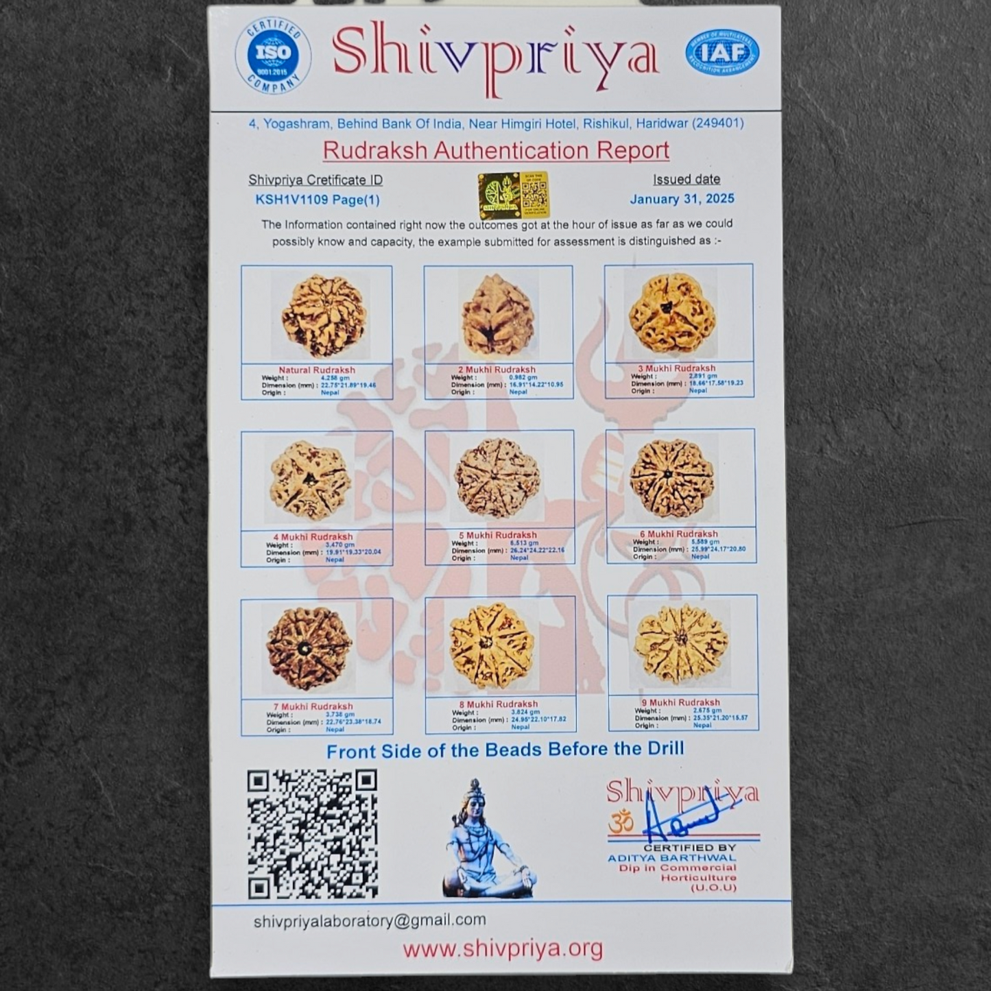 1 - 14 MUKHI RUDRAKSHA NEPAL SIDDH MALA WITH GOVERNMENT CERTIFIED DETAILED X-RAYS LAB REPORT