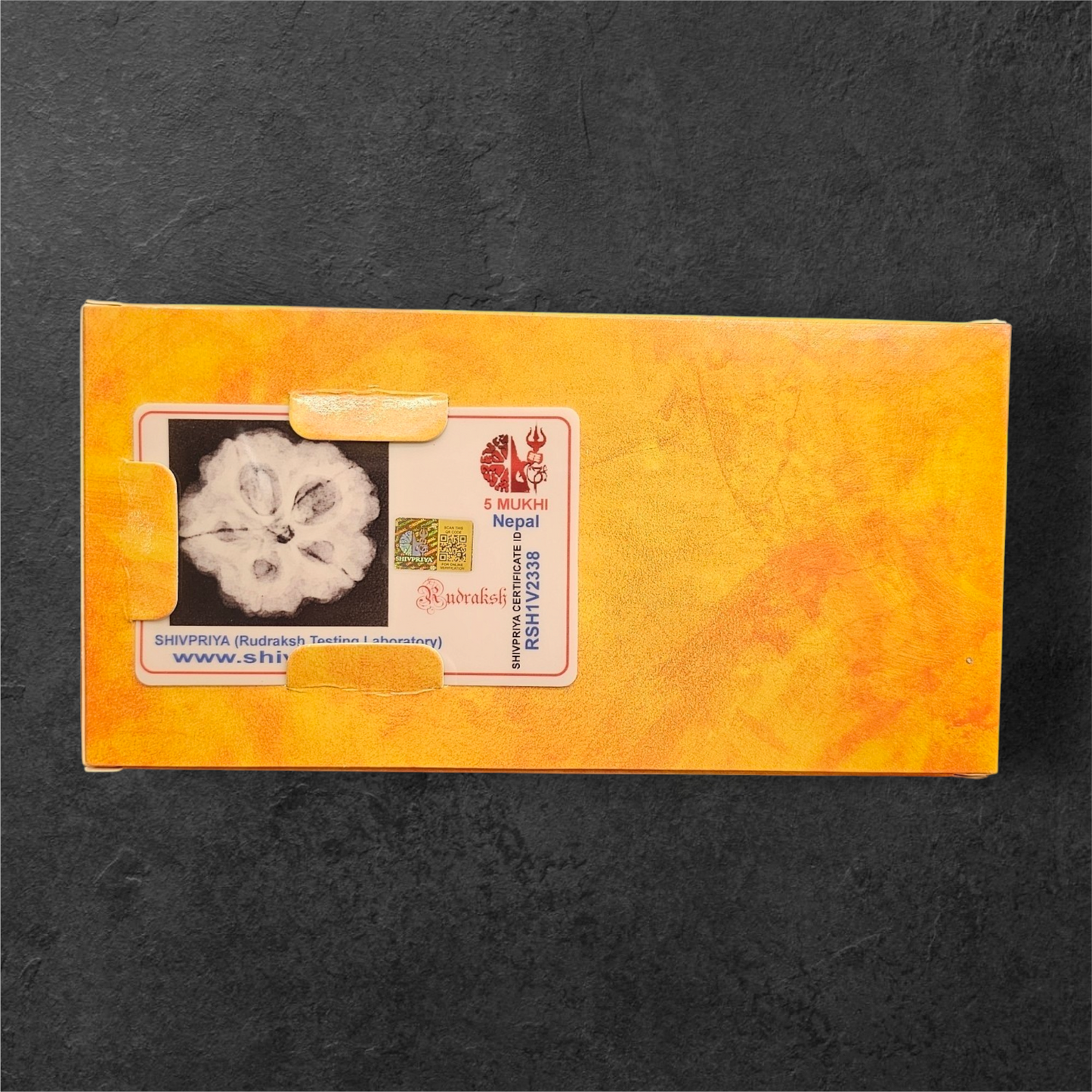 5 MUKHI RUDRAKSH NEPAL ORIGIN WITH X RAY LAB CERTIFICATION (23MM PLUS SIZE)