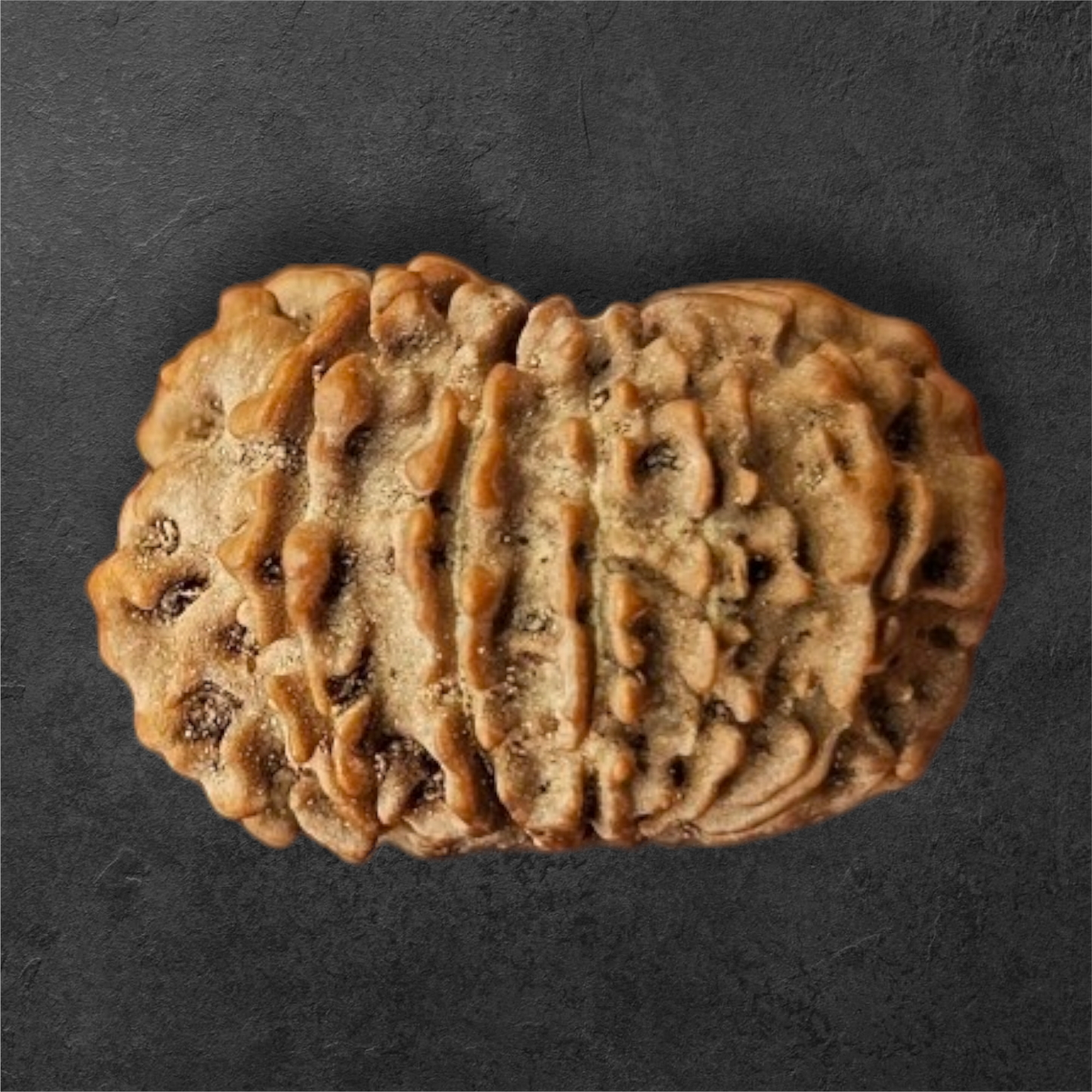 12 MUKHI RUDRAKSH NEPAL ORIGIN WITH LAB CERTIFICATION