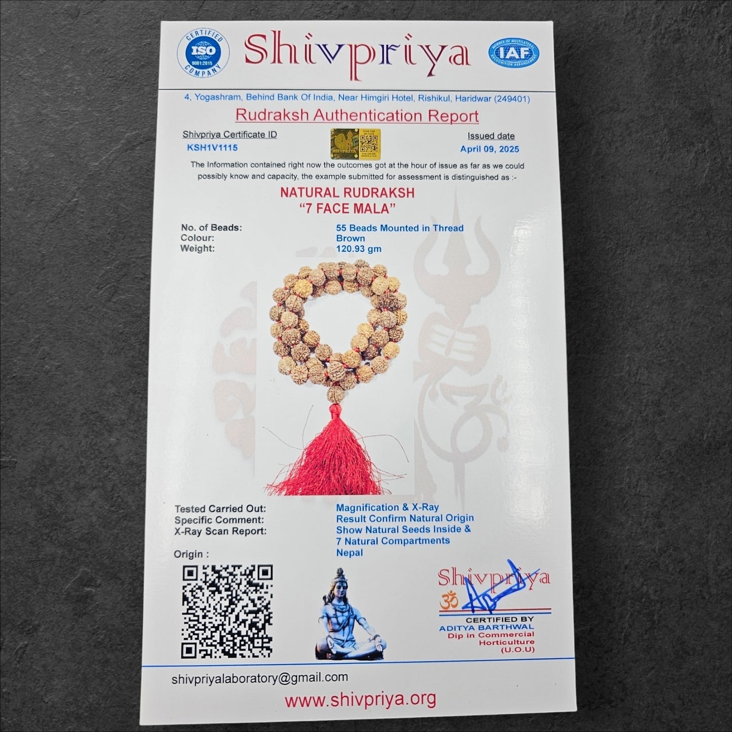 7 MUKHI NEPALI RUDRAKSHA MALA (15MM -18MM BEADS)