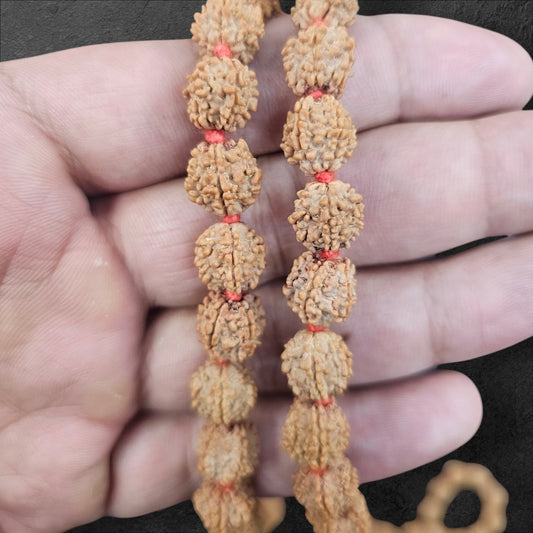 7 MUKHI INDONESIAN RUDRAKSHA MALA (108 +1 BEADS) (8MM & 10MM BEADS)
