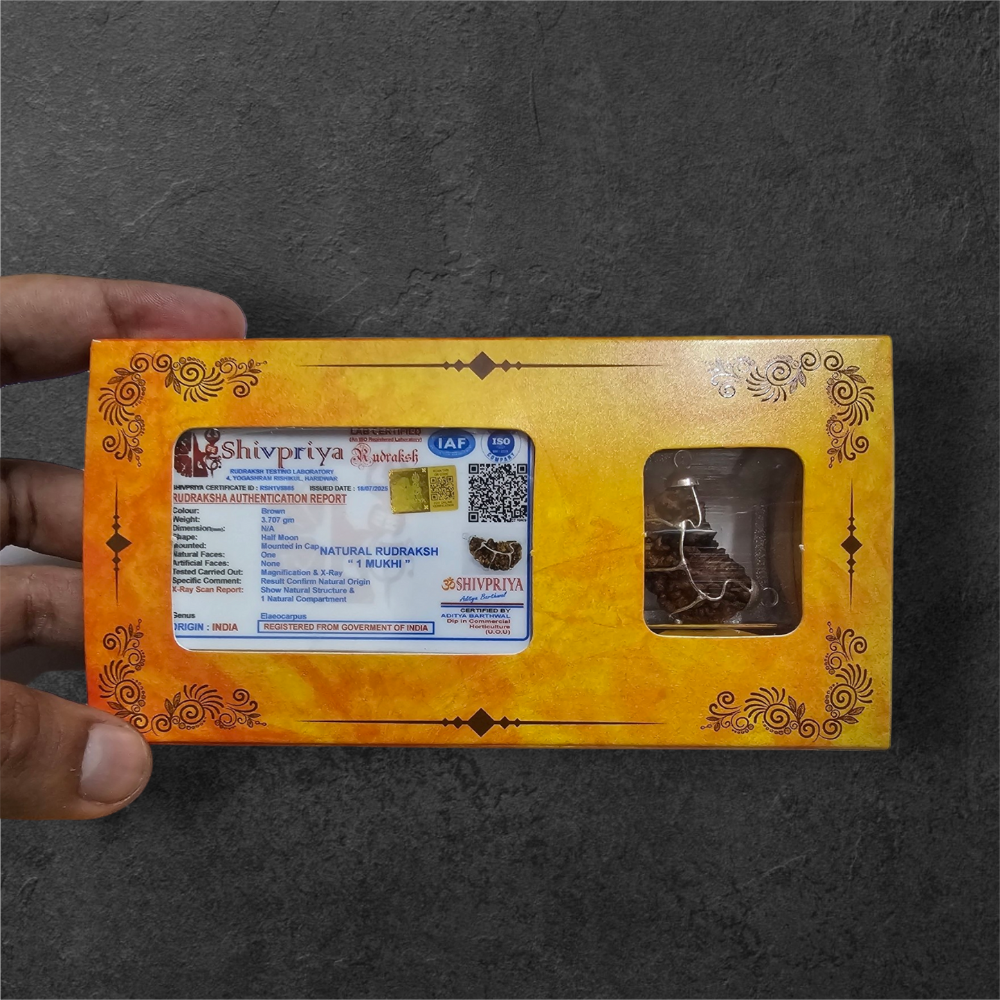 1 FACED (1 MUKHI) EK MUKHI RUDRAKSH (HALF MOON SHAPED) WITH GOVERNMENT AUTHORISED X RAY-LAB CERTIFICATION