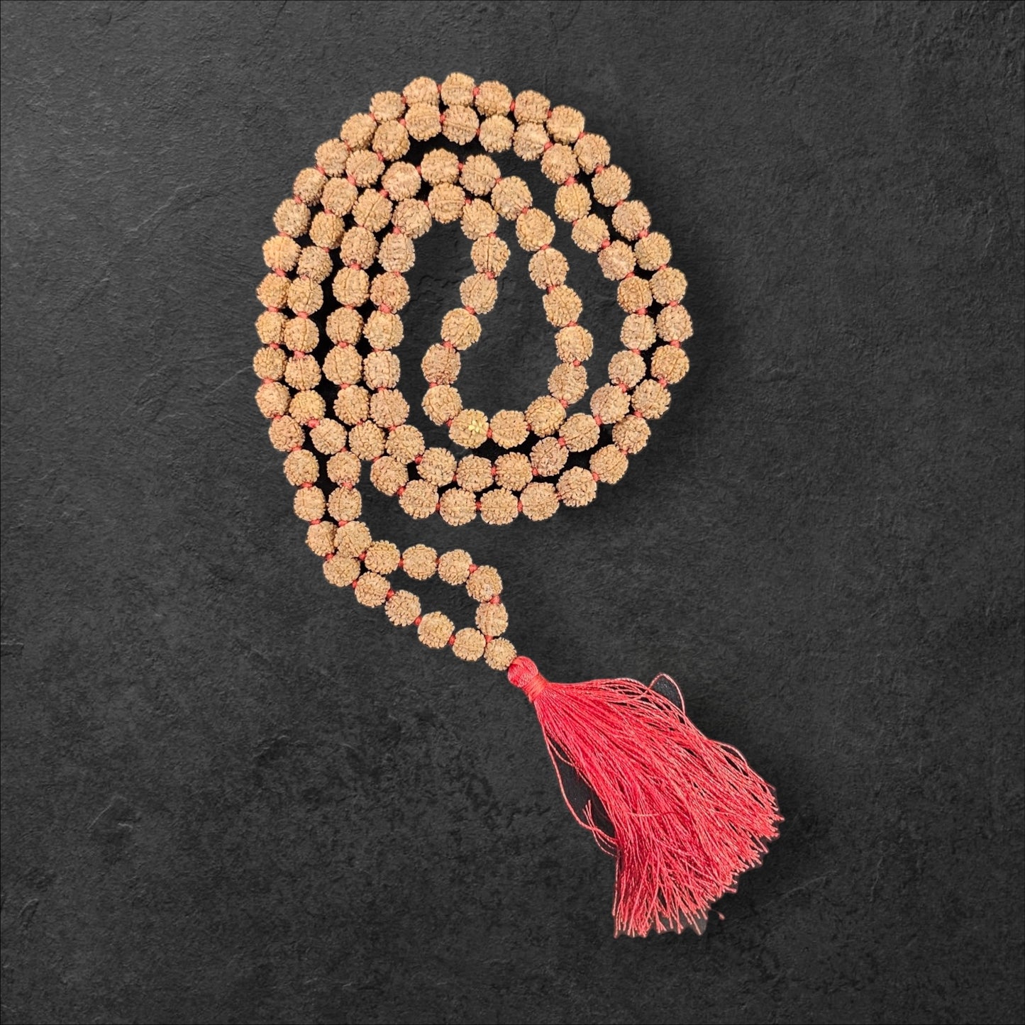 7 MUKHI INDONESIAN RUDRAKSHA MALA (108 +1 BEADS) (8MM & 10MM BEADS)