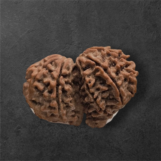 GAURI SHANKAR RUDRAKSH (NEPAL ORIGIN) WITHGOV AUTHORISED X-RAY LAB CERTIFICATION