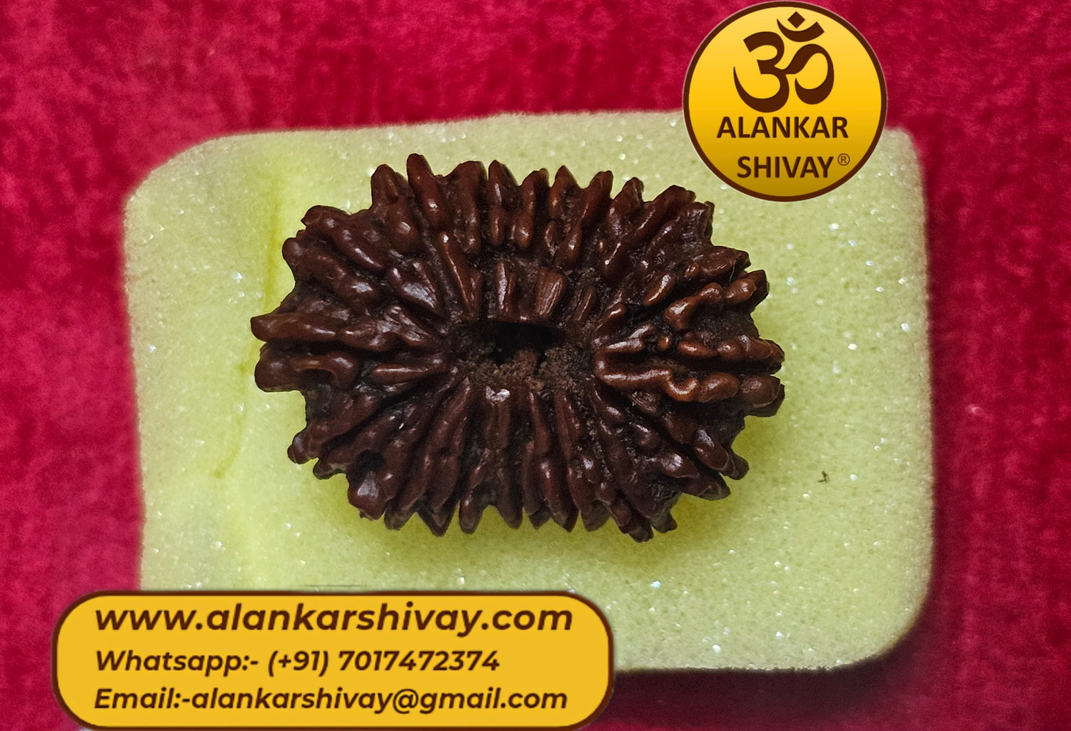 RUDRAKSH BEADS