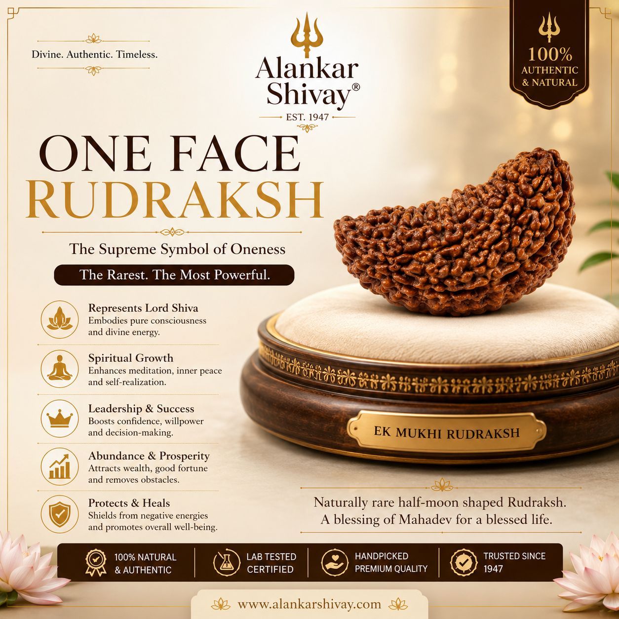 1 mukhi rudraksh