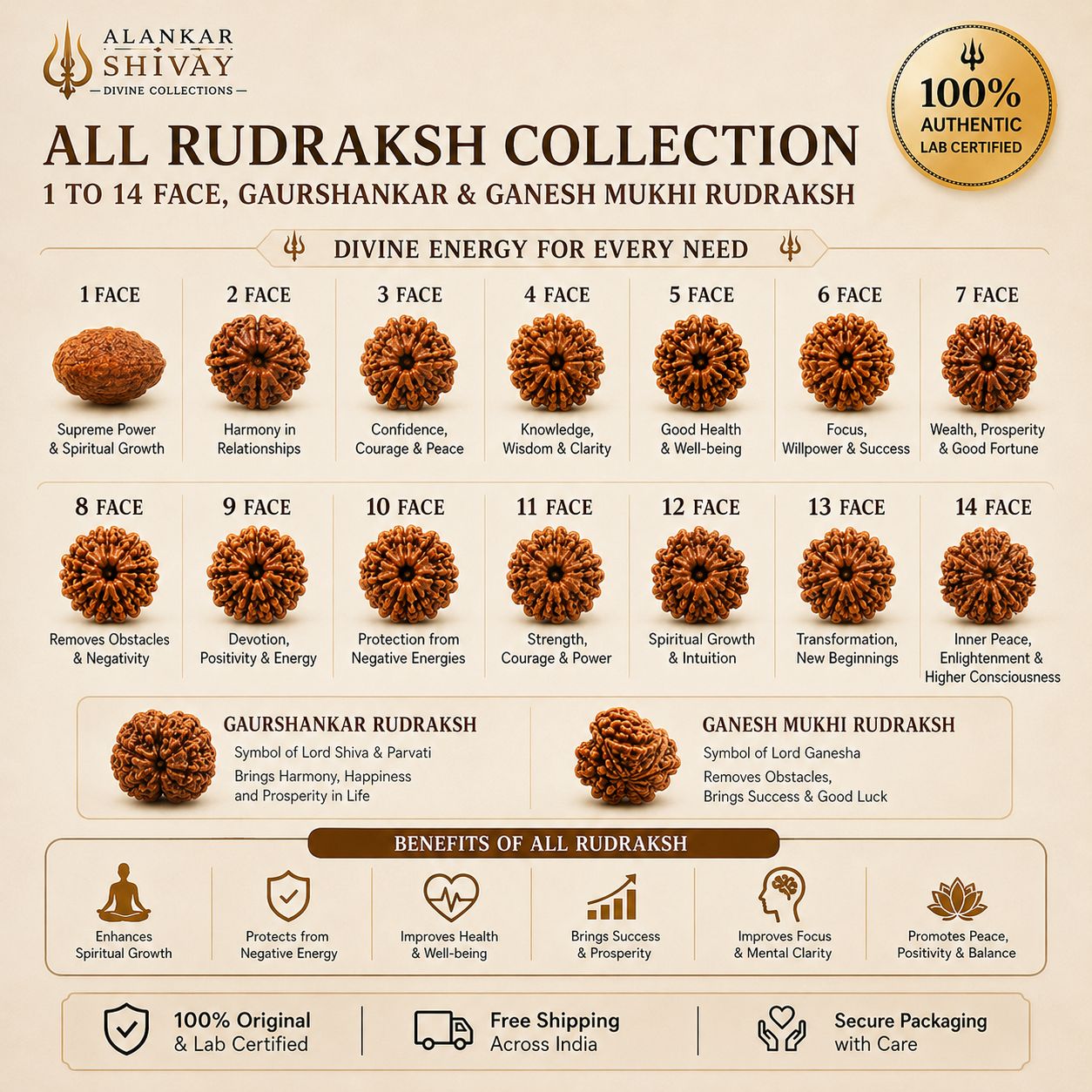 RUDRAKSH COLLECTION