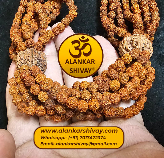 1008 BEADS RUDRAKSH KANTHA MALA