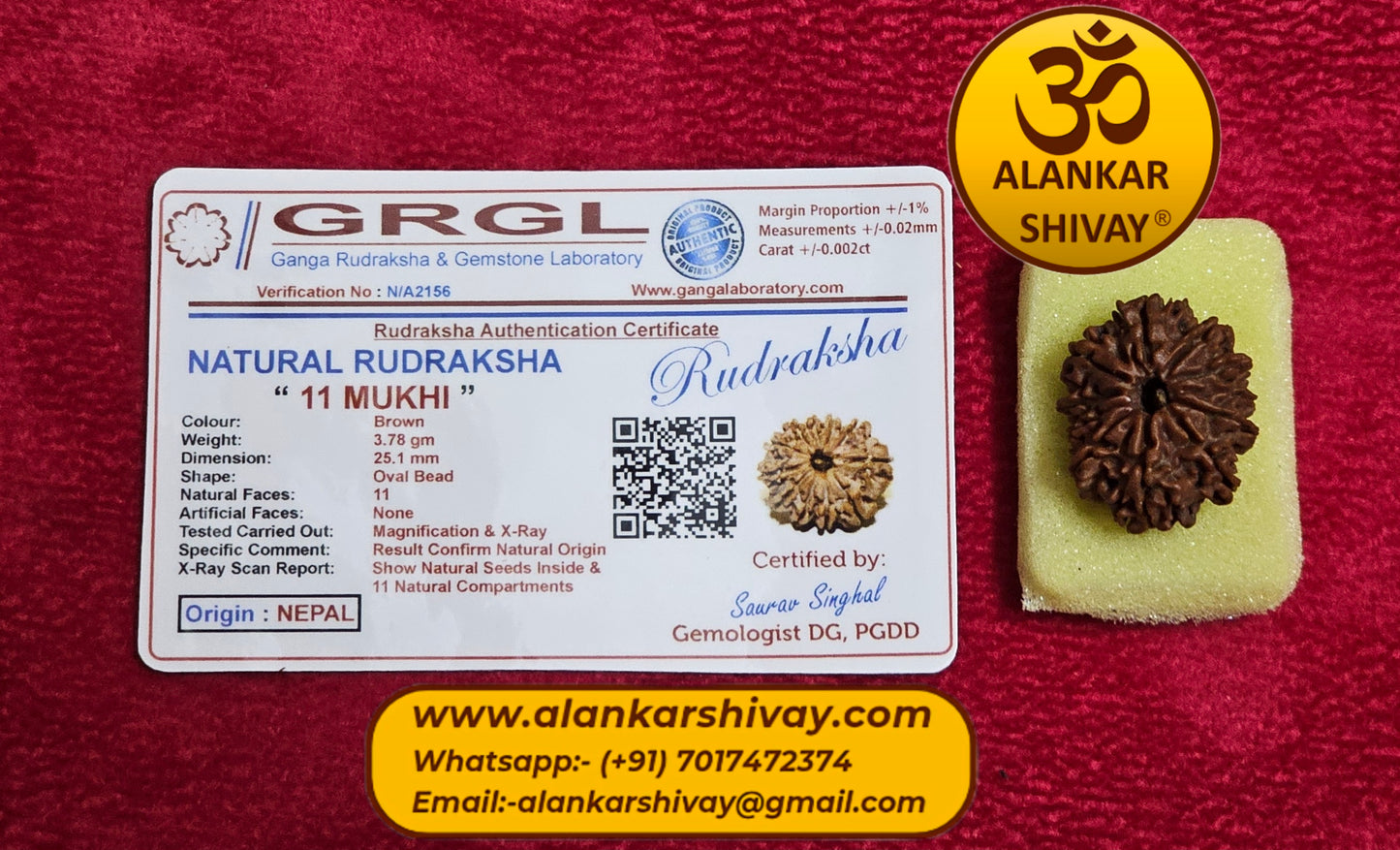 11 MUKHI RUDRAKSH NEPAL ORIGIN WITH LAB CERTIFICATION