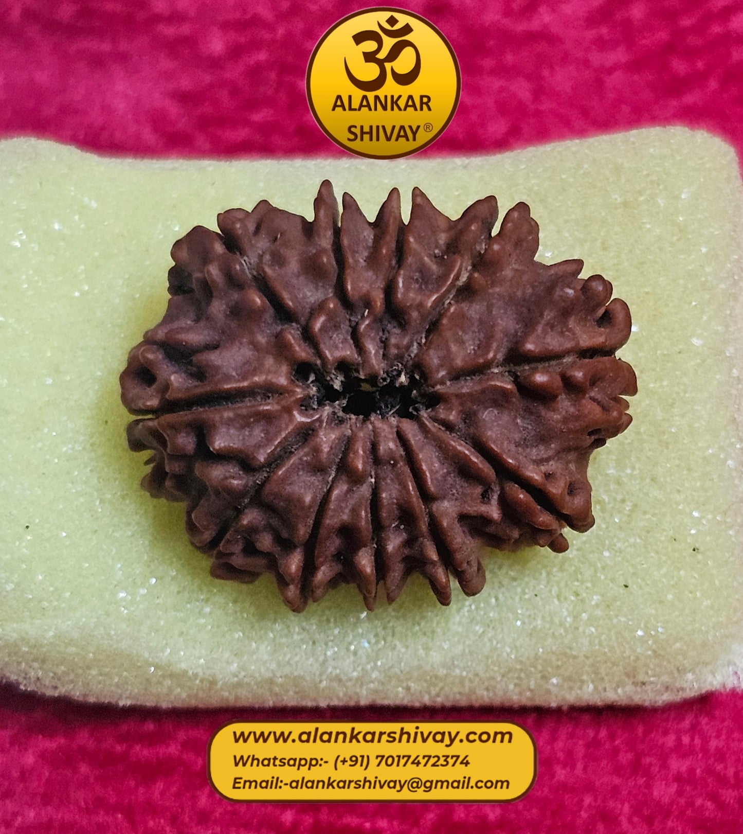 11 MUKHI RUDRAKSH NEPAL ORIGIN WITH LAB CERTIFICATION