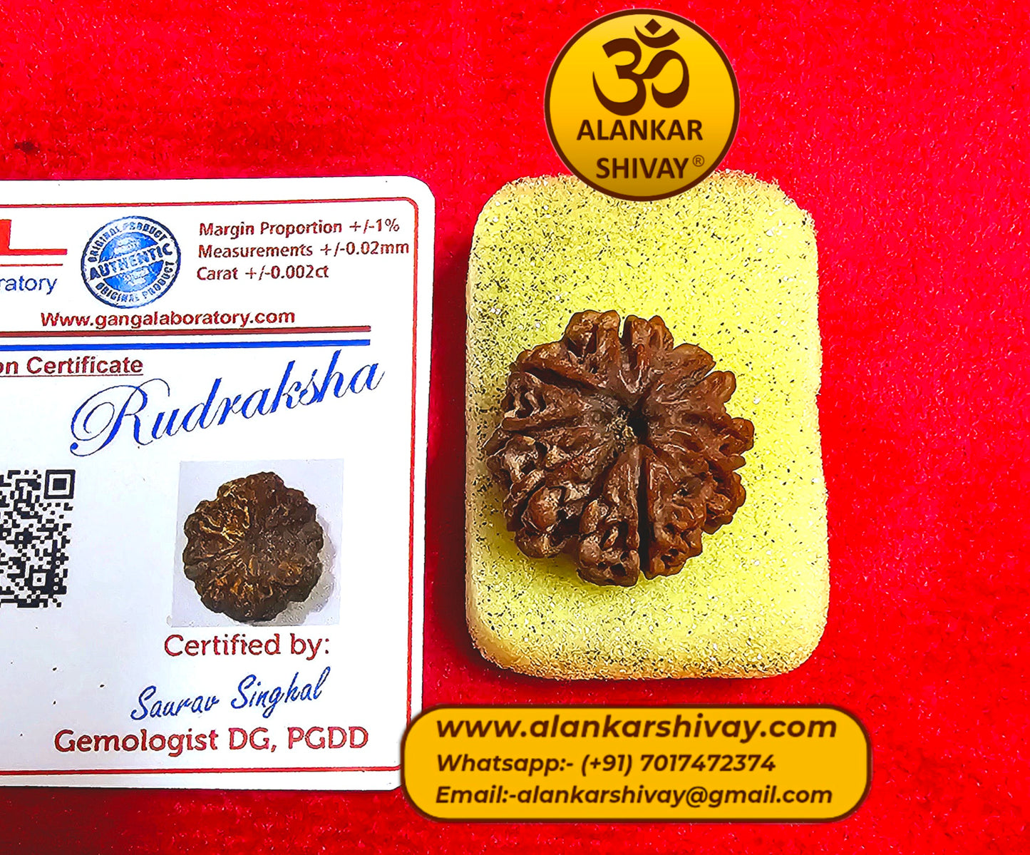 8 MUKHI RUDRAKSH NEPAL ORIGIN WITH LAB CERTIFICATION