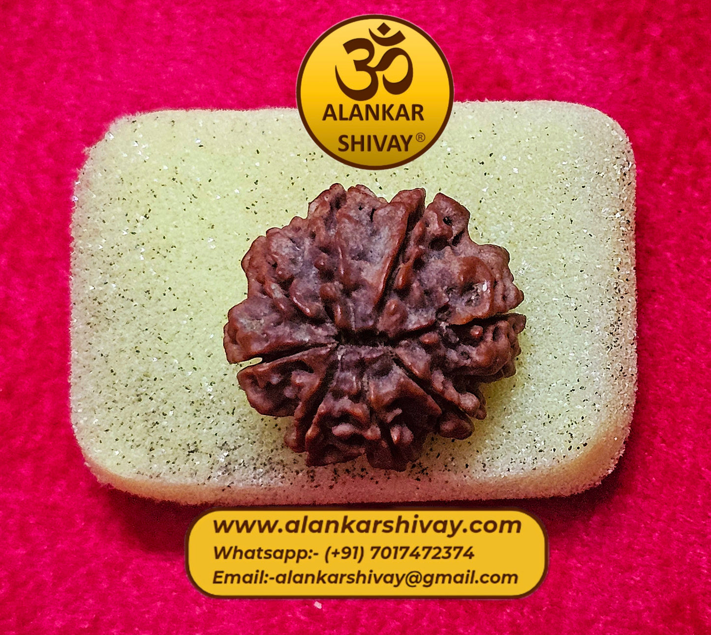 8 MUKHI RUDRAKSH NEPAL ORIGIN WITH LAB CERTIFICATION