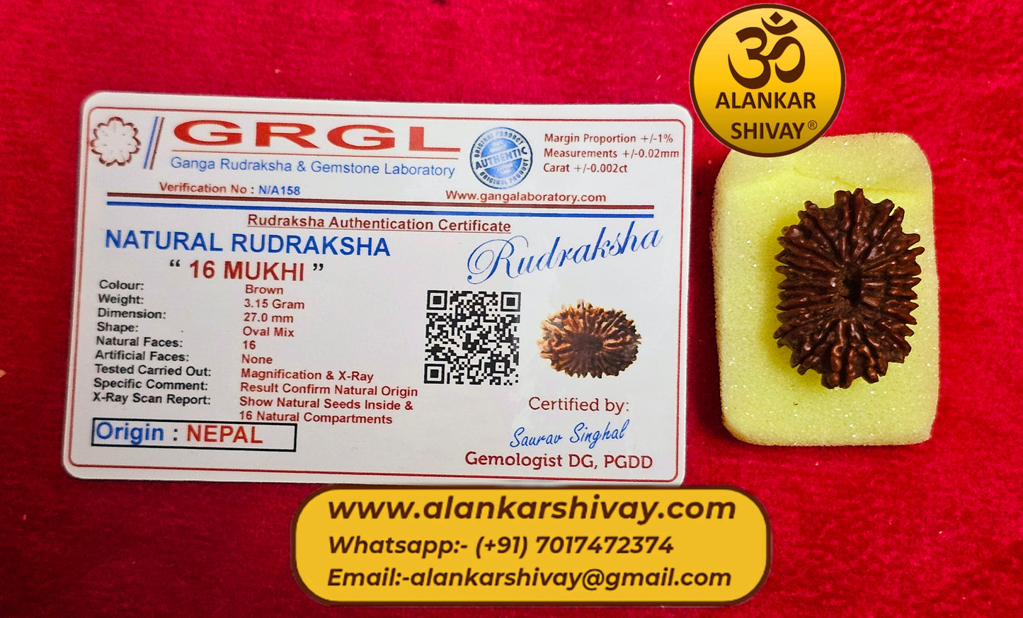 16 MUKHI RUDRAKSH NEPAL ORIGIN WITH LAB CERTIFICATION