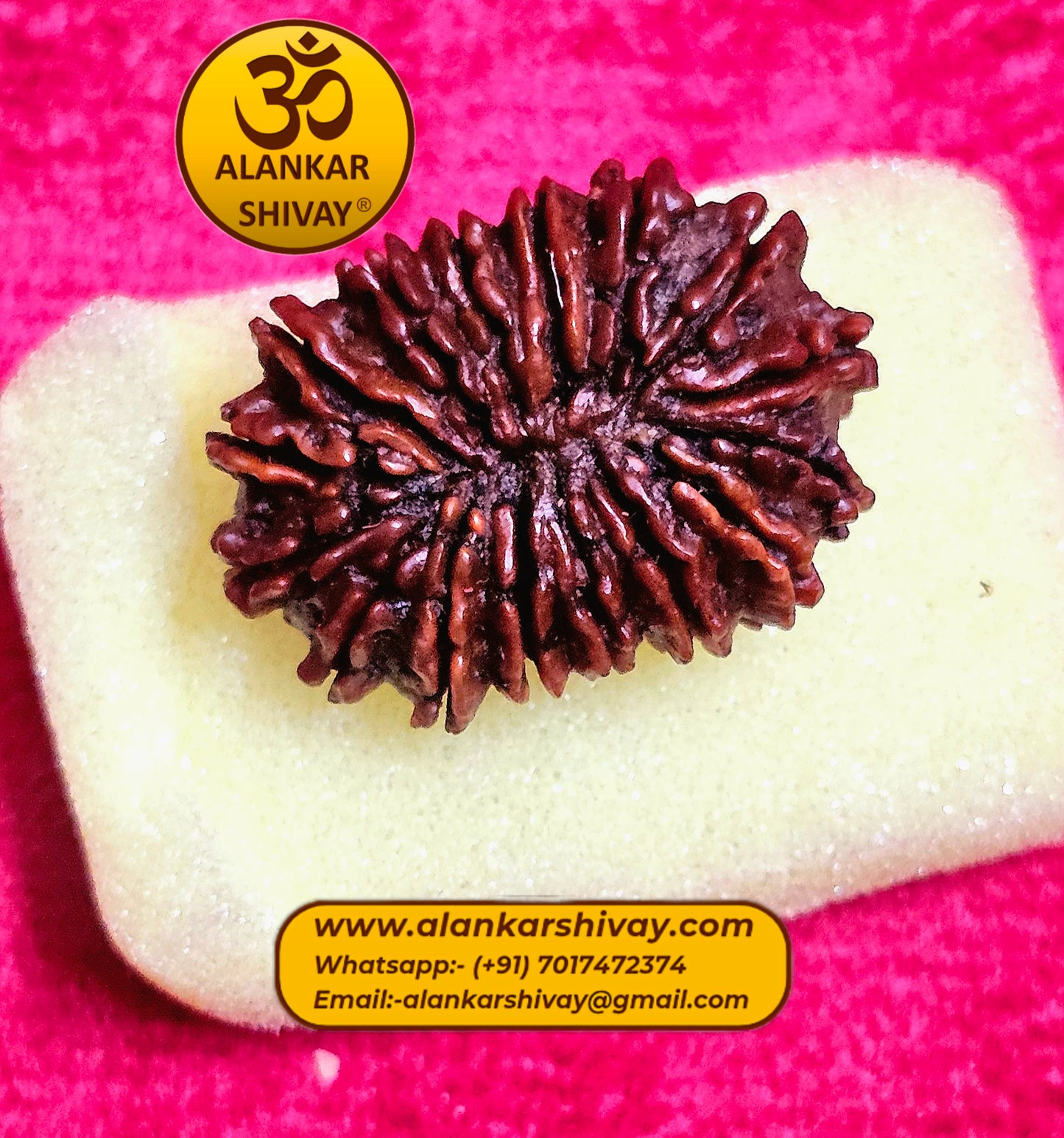 16 MUKHI RUDRAKSH NEPAL ORIGIN WITH LAB CERTIFICATION