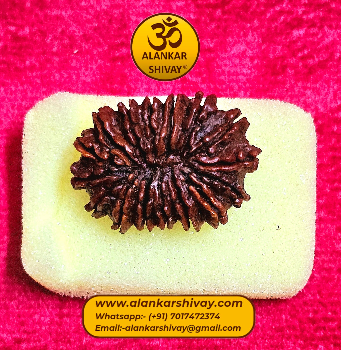 16 MUKHI RUDRAKSH NEPAL ORIGIN WITH LAB CERTIFICATION