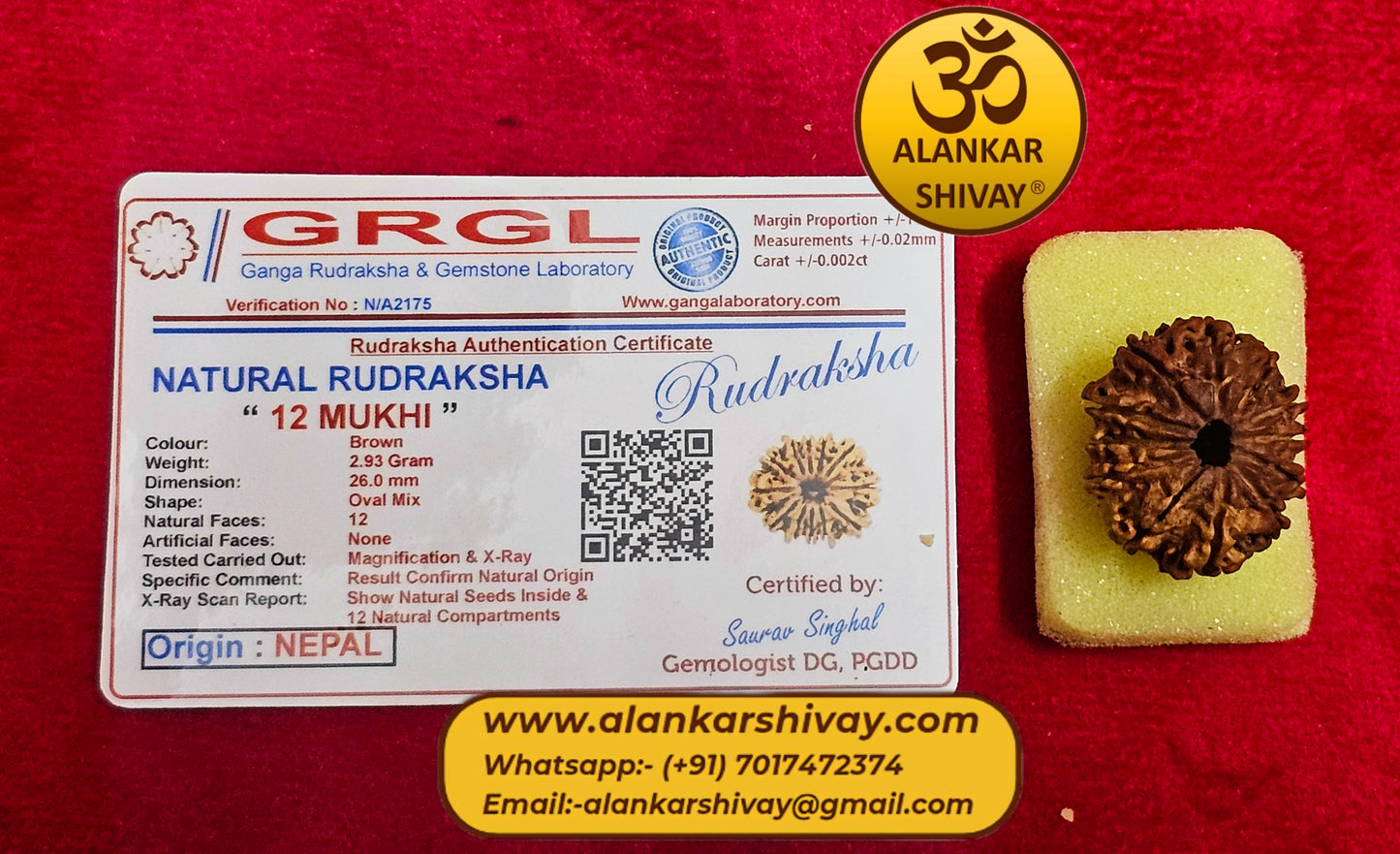 12 MUKHI RUDRAKSH NEPAL ORIGIN WITH LAB CERTIFICATION